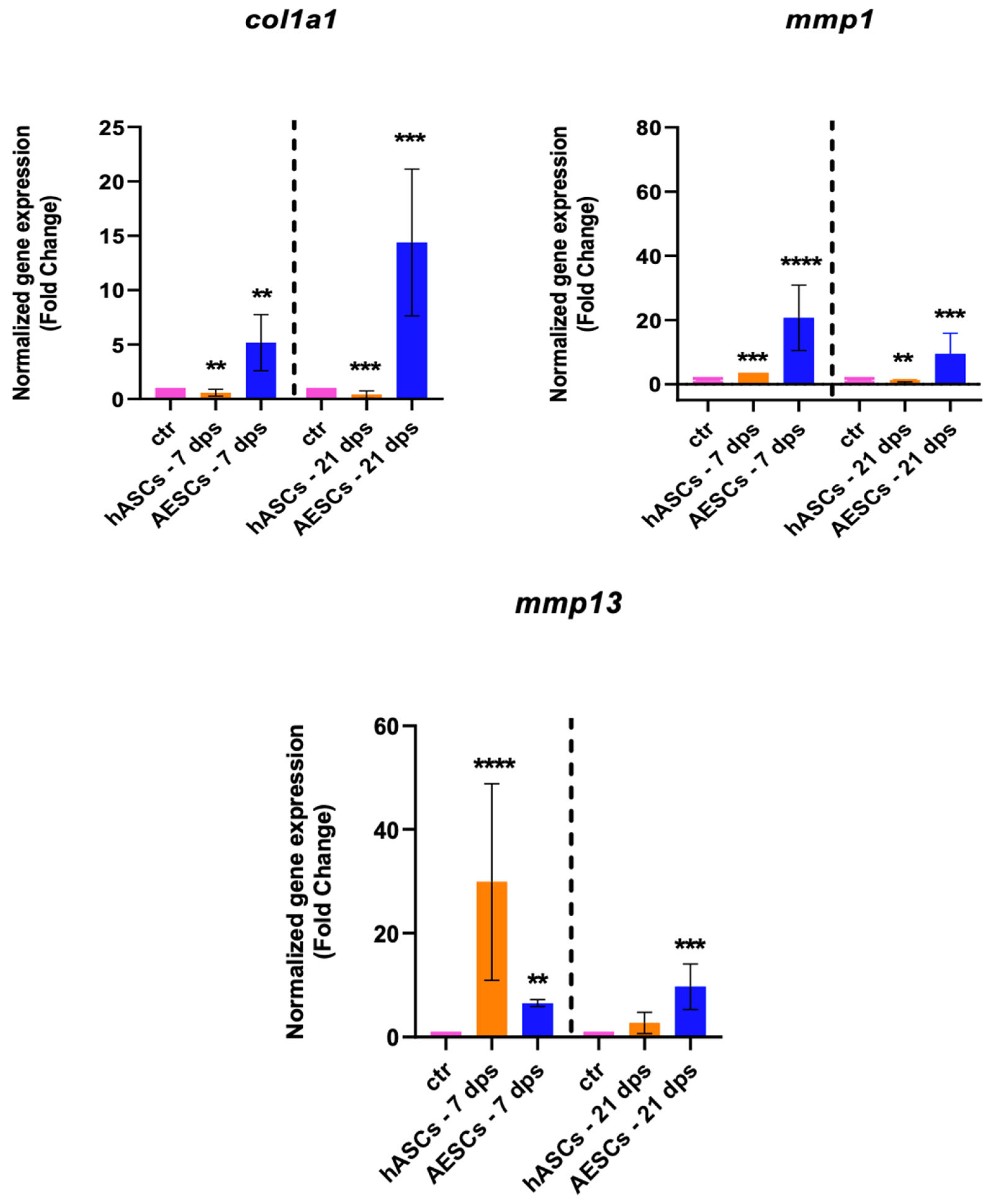 Biomolecules 14 01068 g003