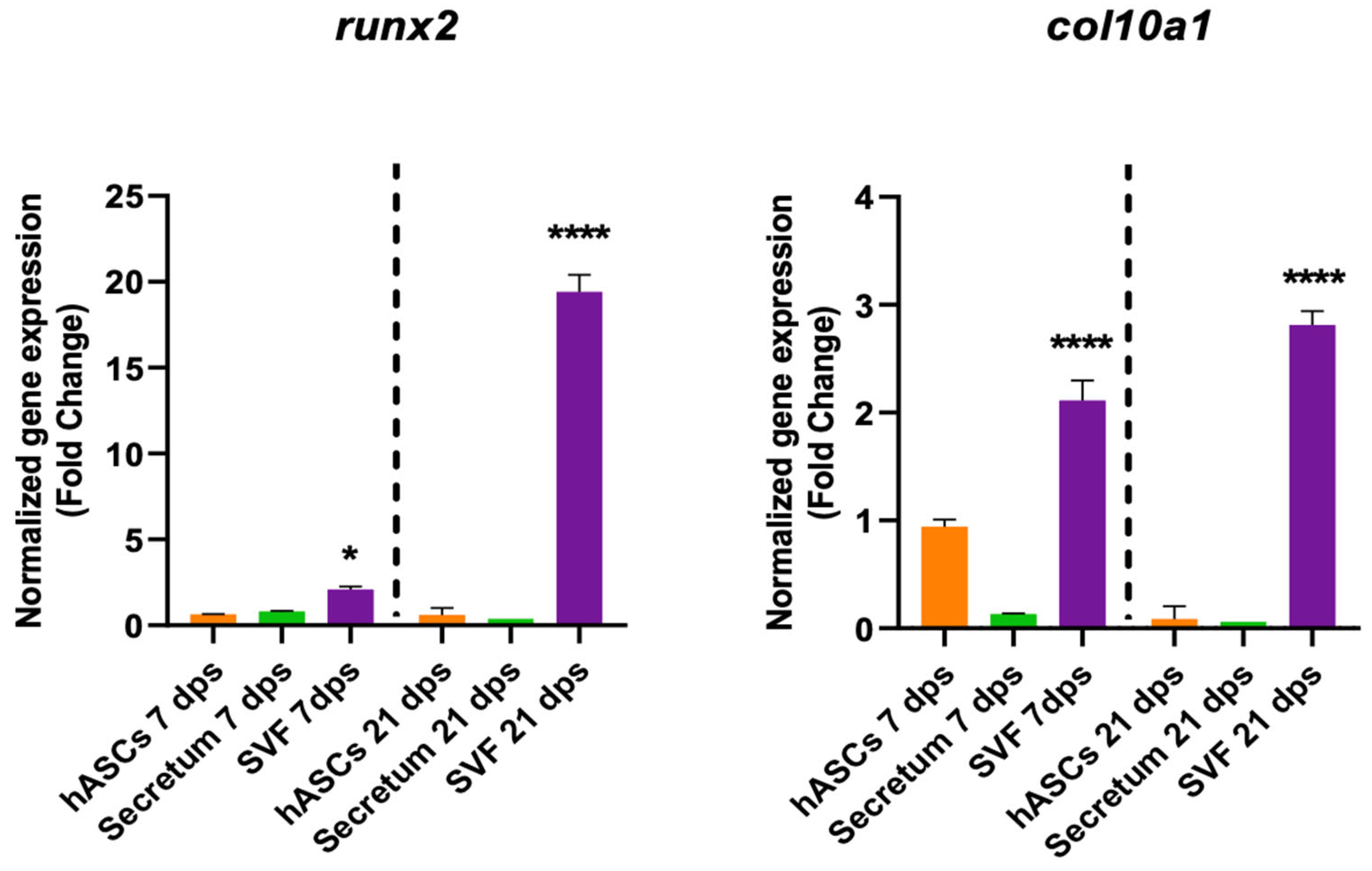 Biomolecules 14 01068 g006