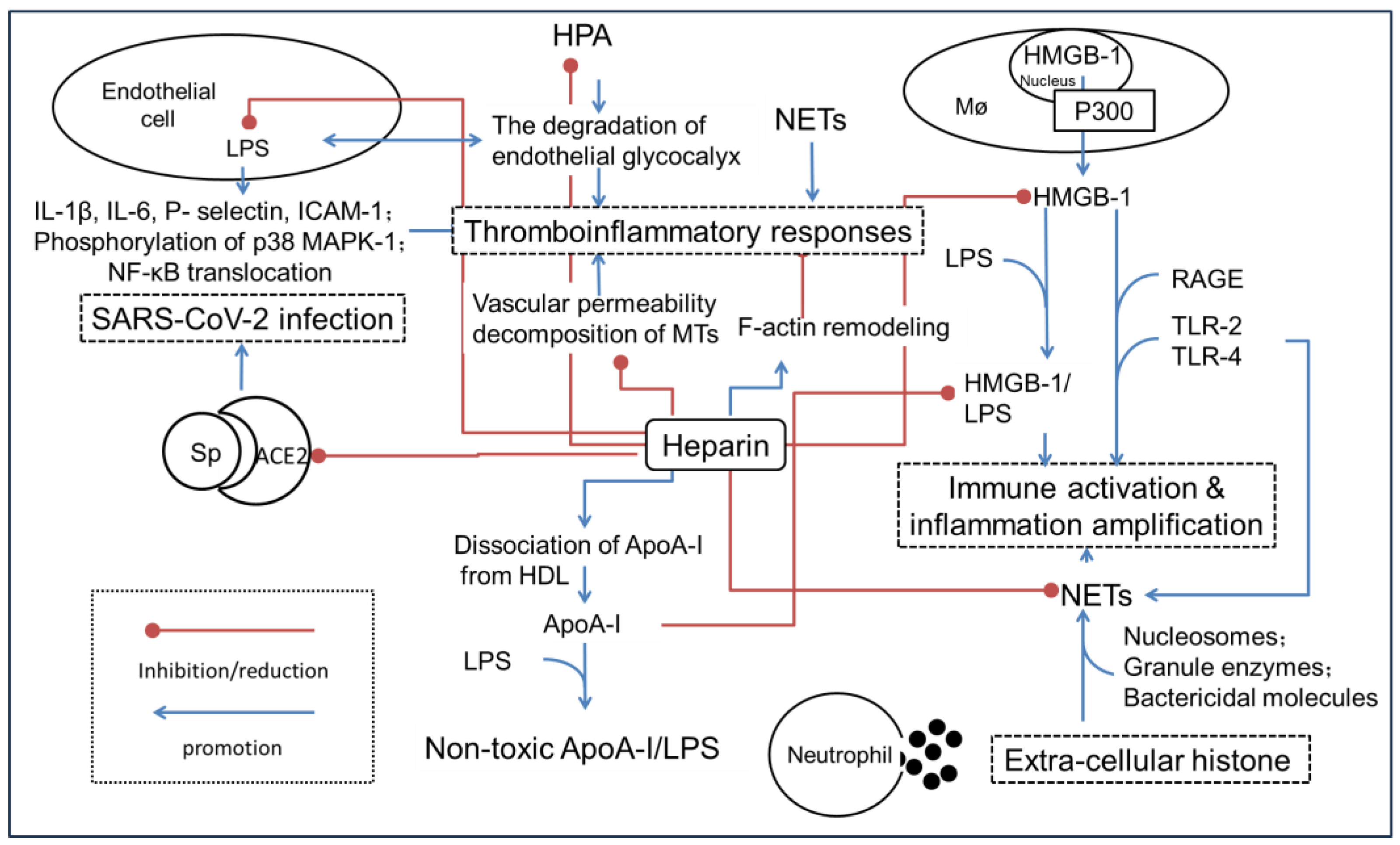 Biomolecules 14 01078 g002