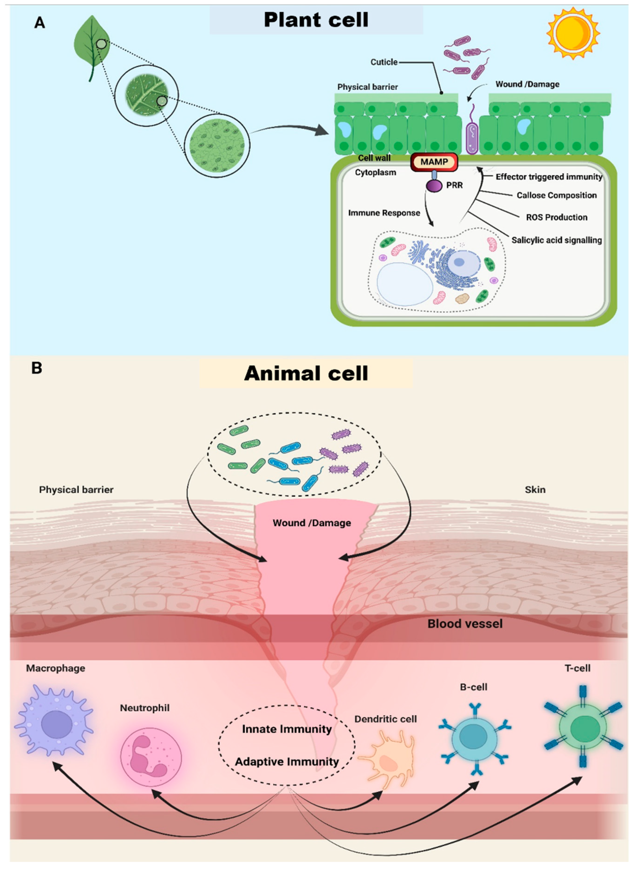 Biomolecules 14 01082 g002
