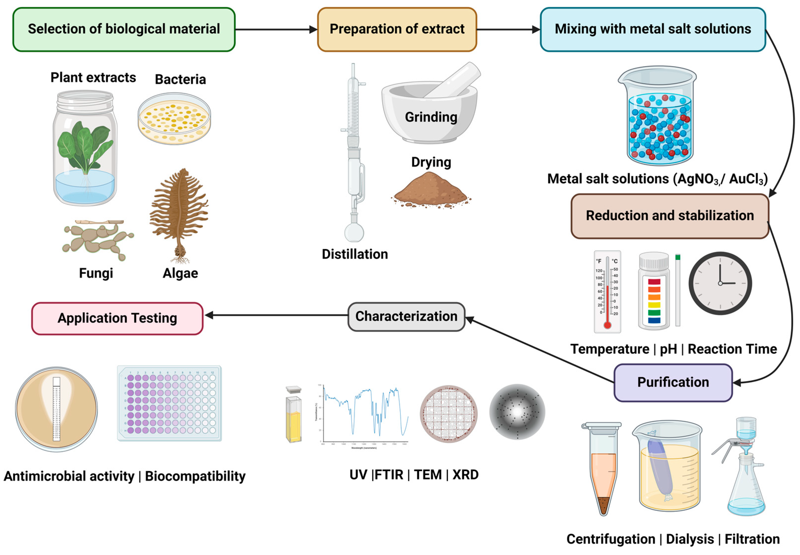 Biomolecules 14 01082 g004