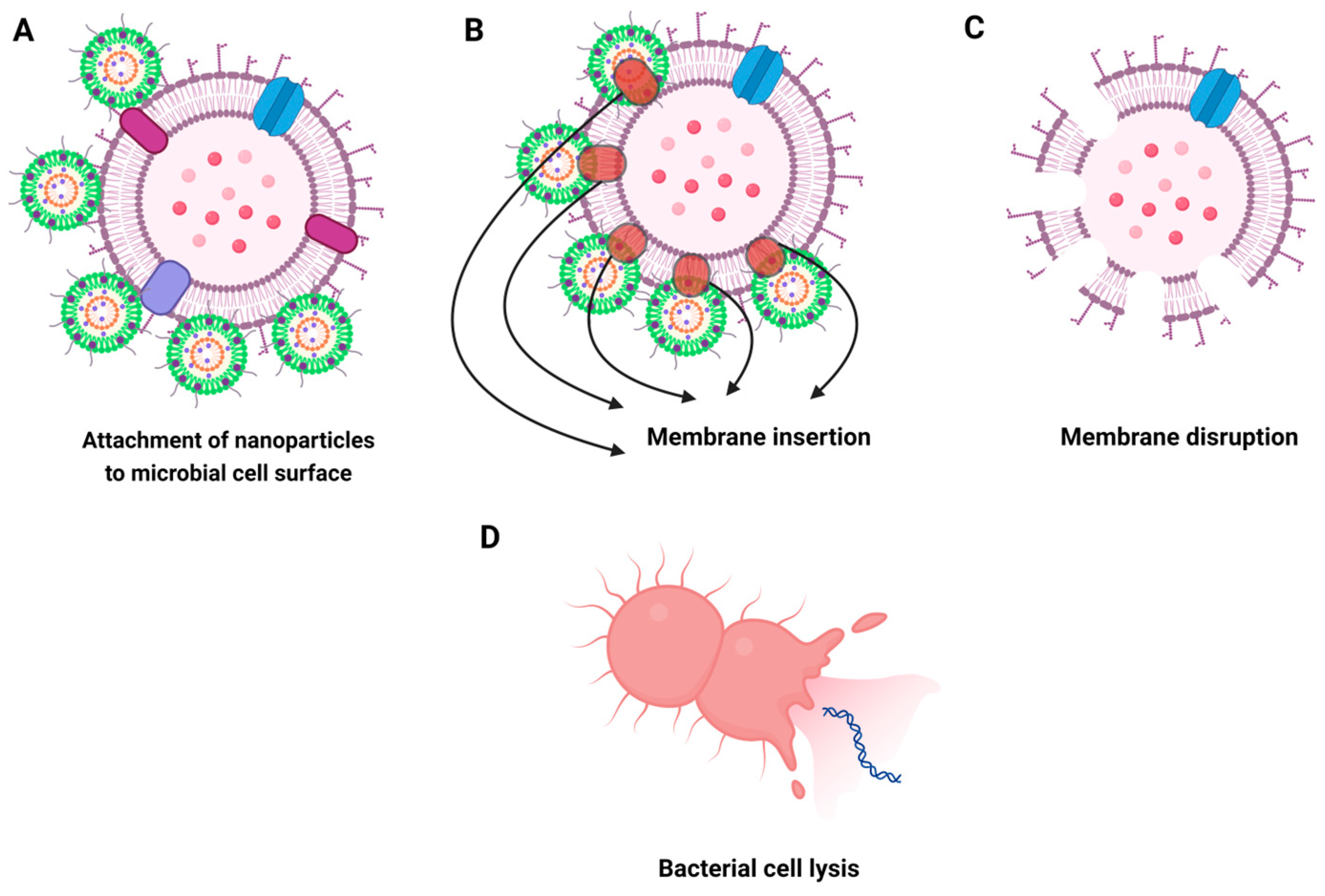 Biomolecules 14 01082 g006