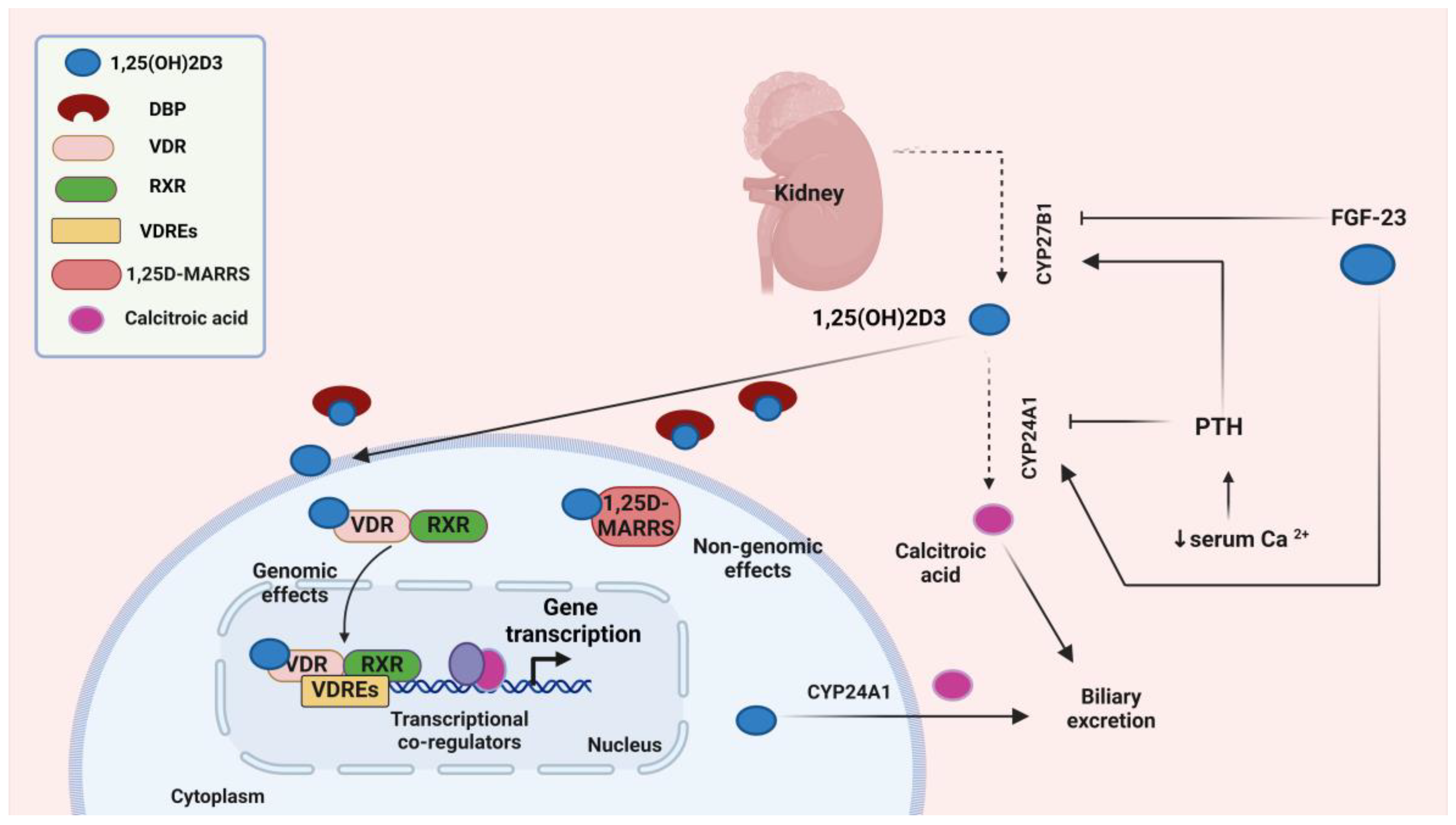 Biomolecules 14 01090 g002