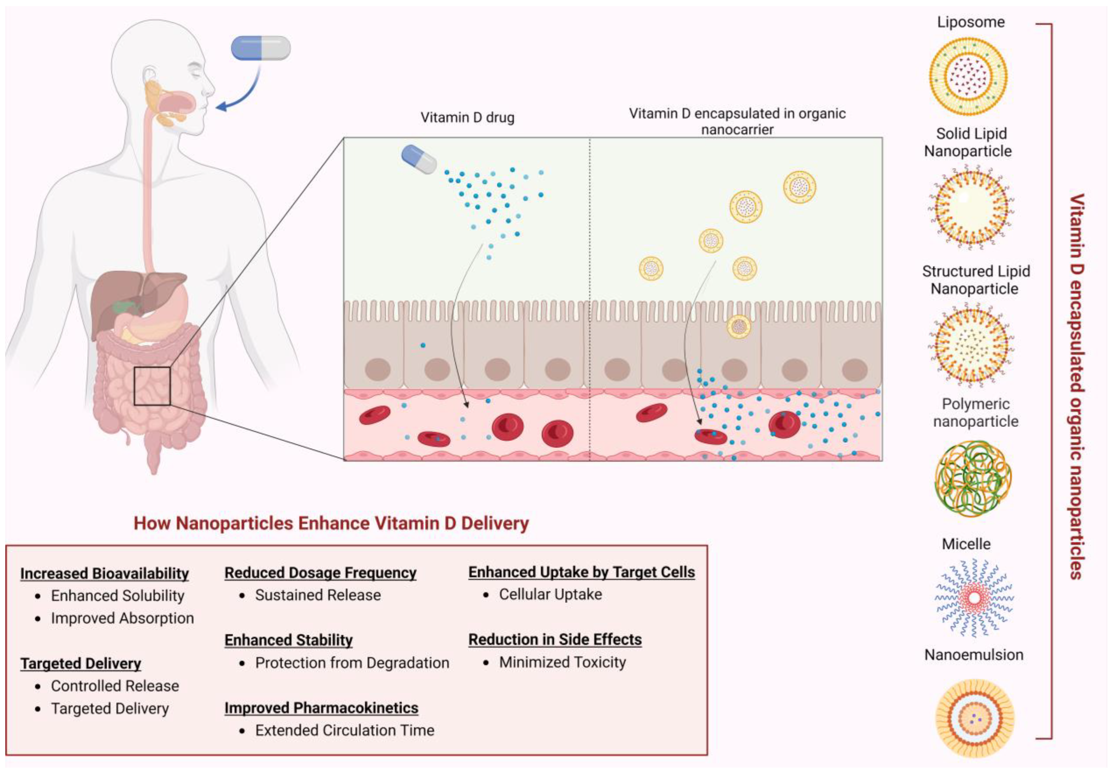 Biomolecules 14 01090 g004