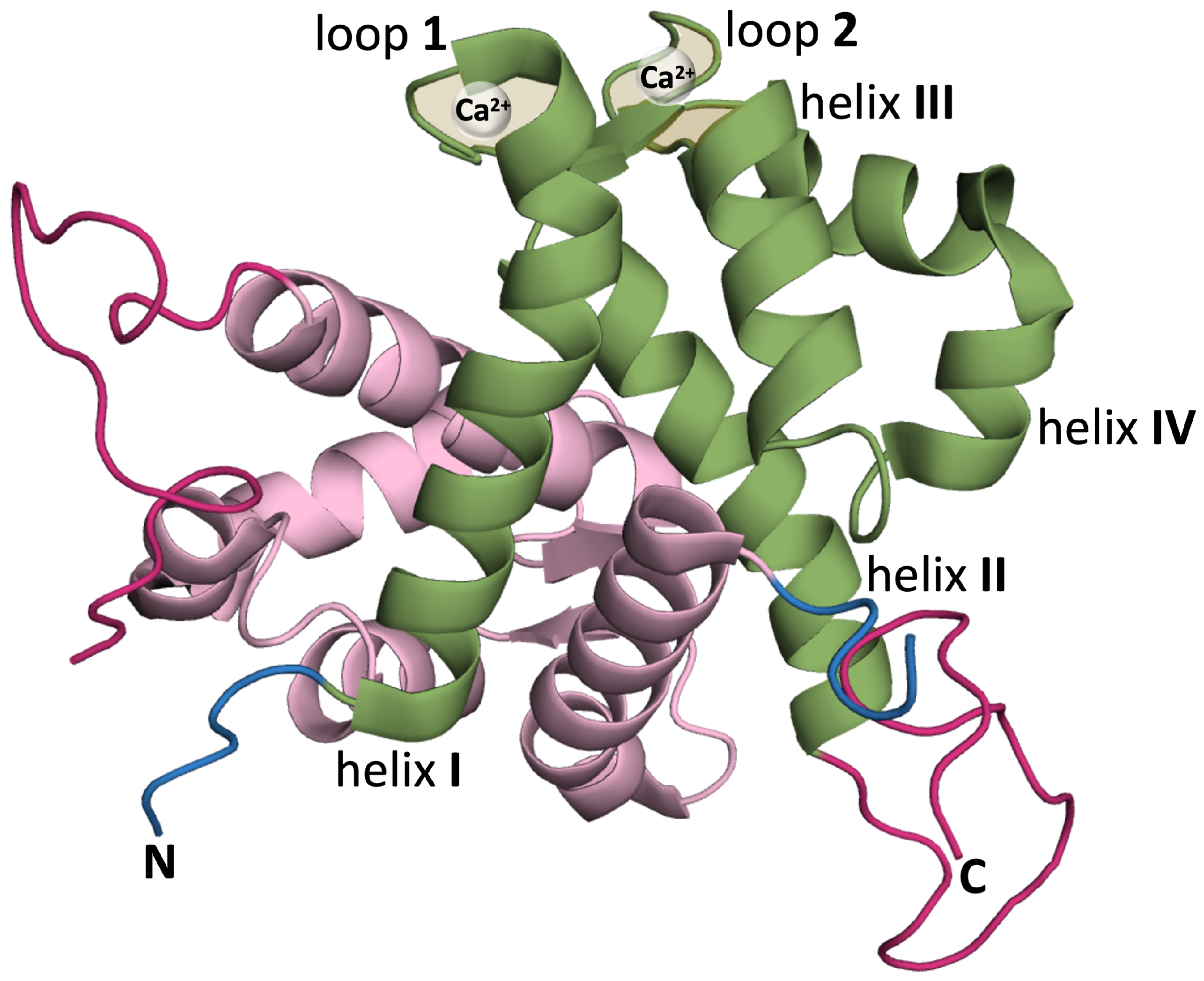 Biomolecules 14 01091 g001