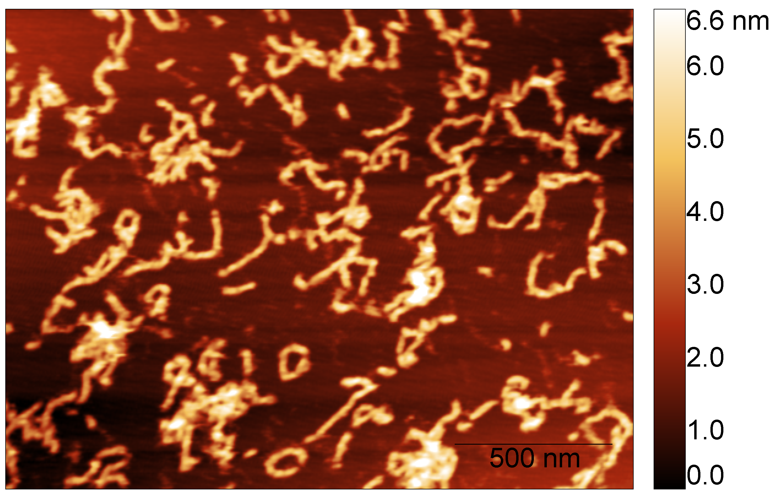 Biomolecules 14 01091 g004