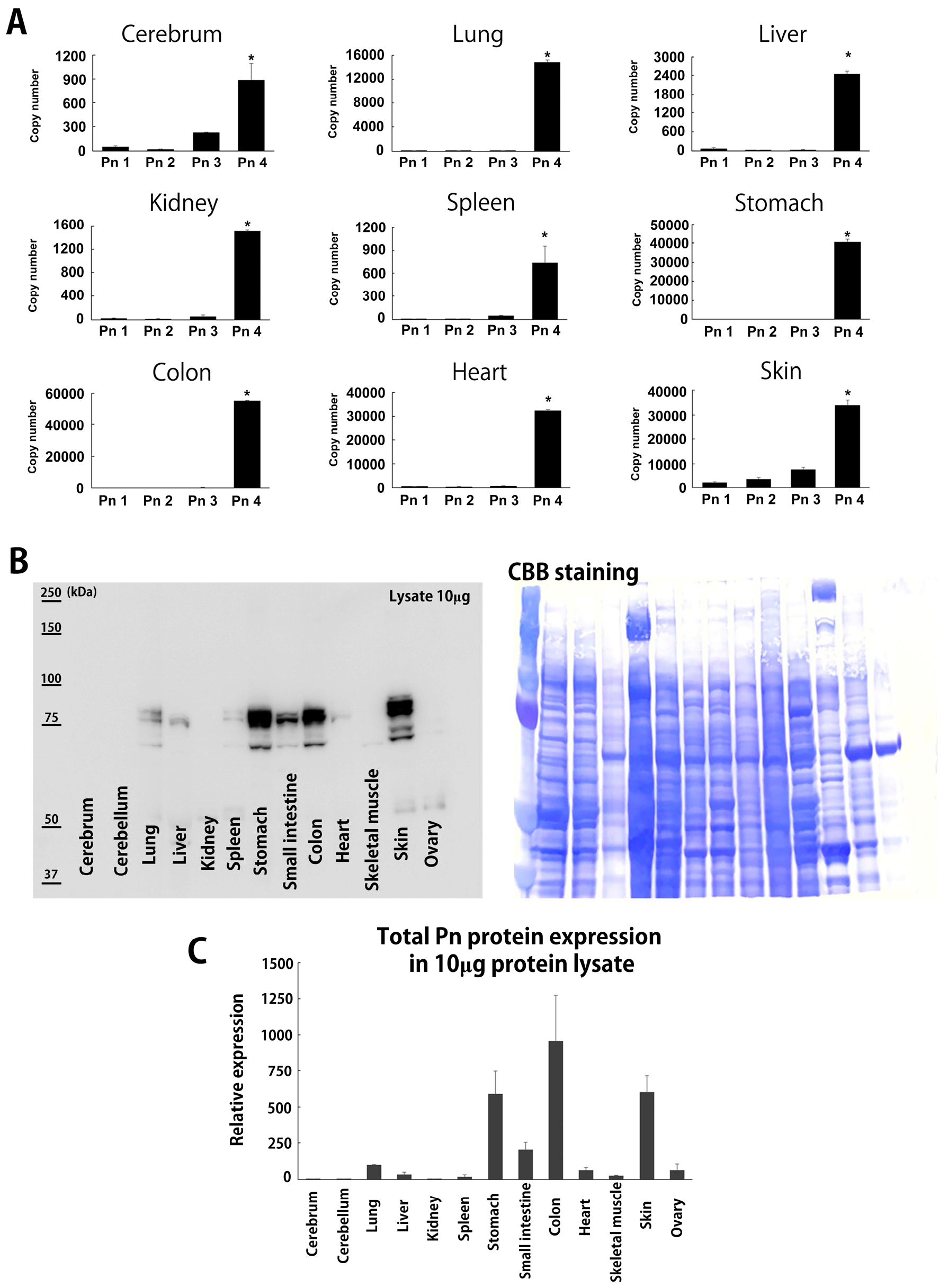 Biomolecules 14 01093 g001