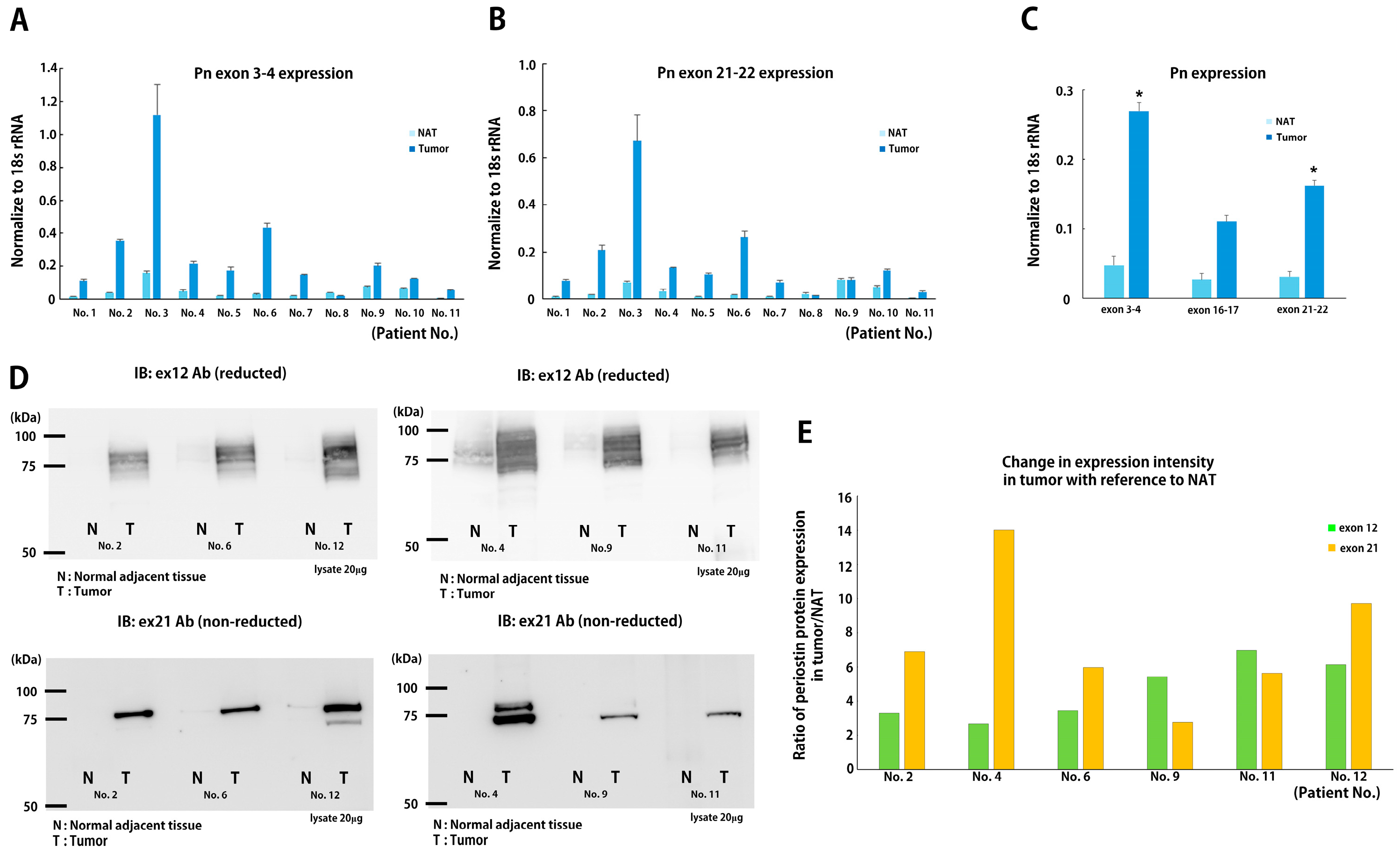 Biomolecules 14 01093 g005