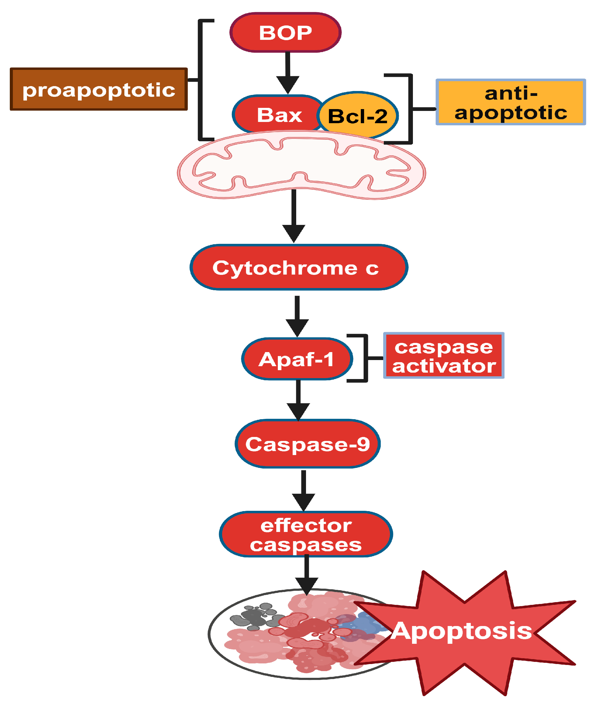 Biomolecules 14 01096 g006