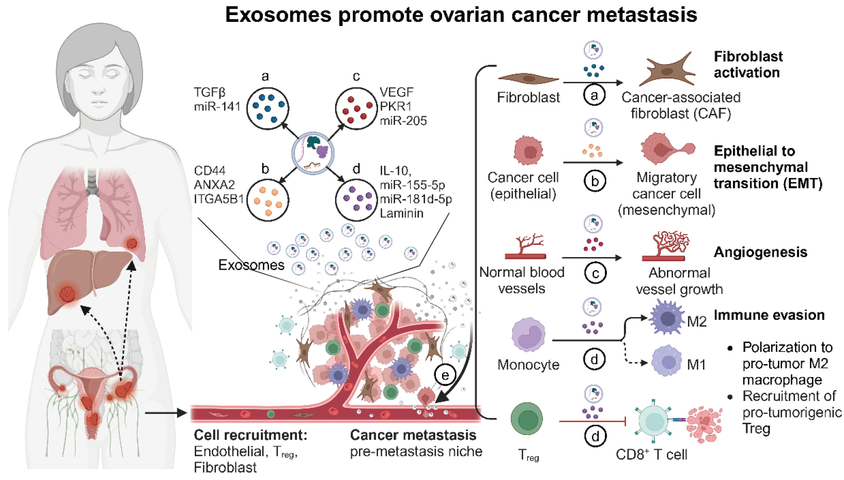 Biomolecules 14 01099 g002