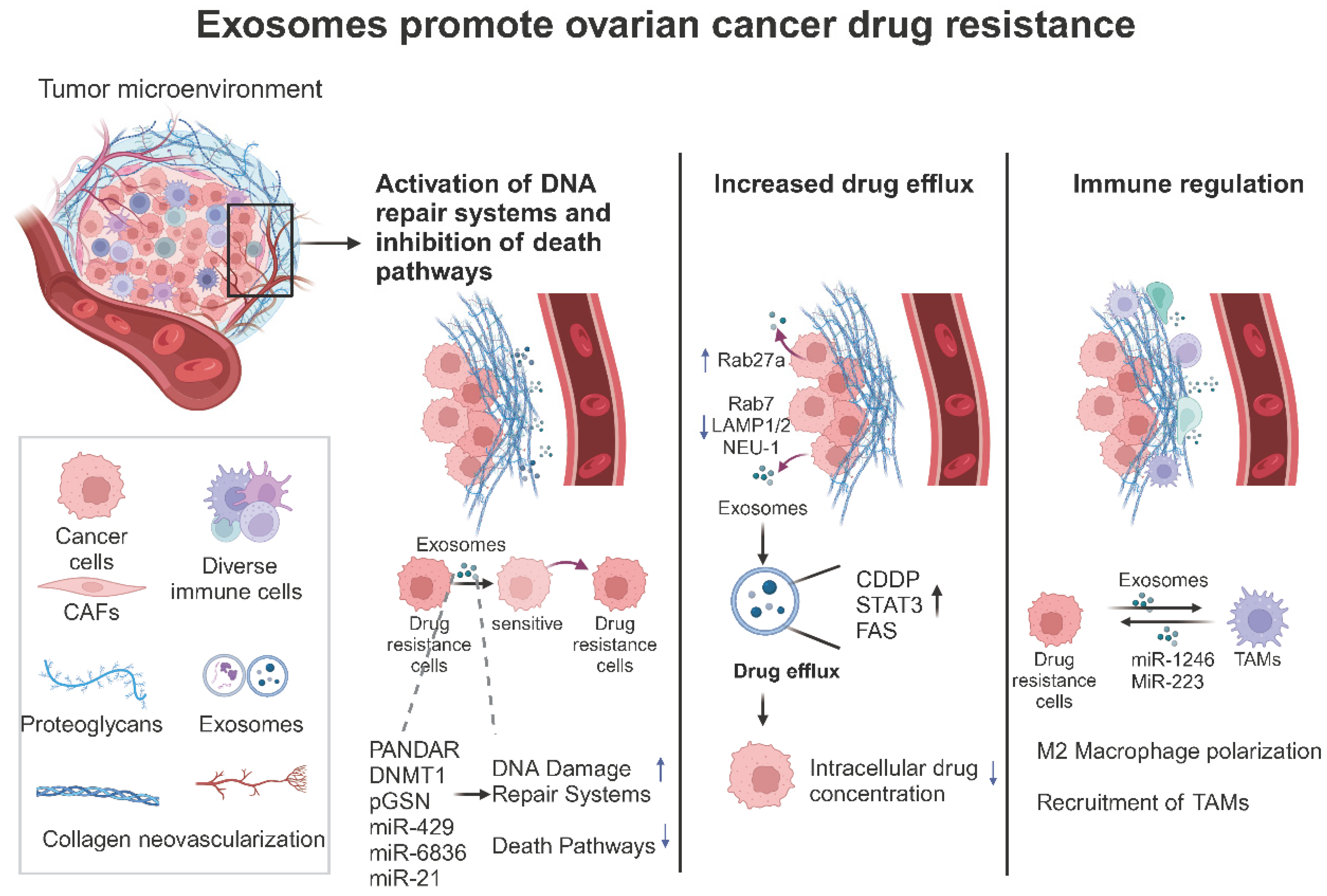 Biomolecules 14 01099 g003