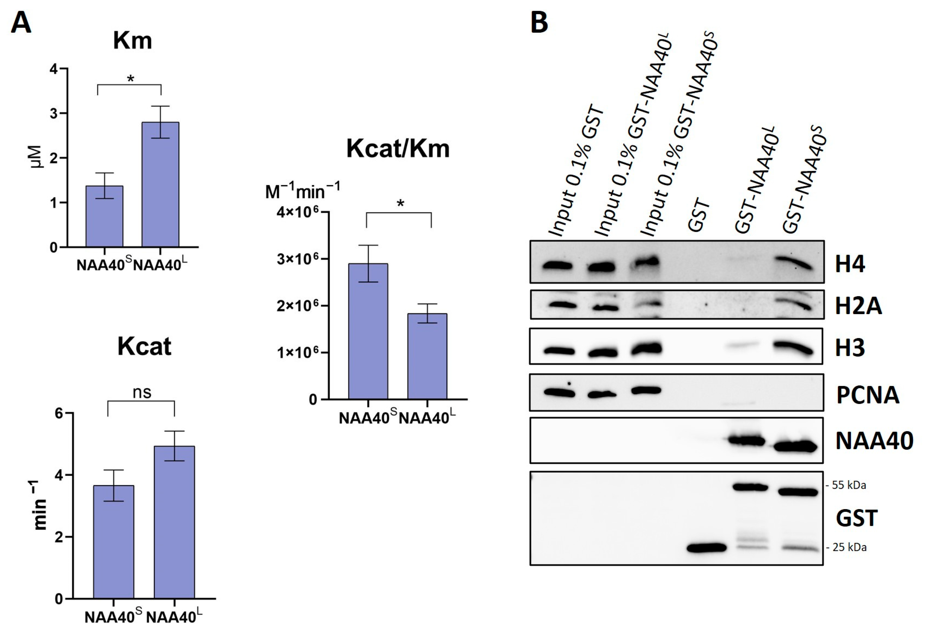 Biomolecules 14 01100 g002