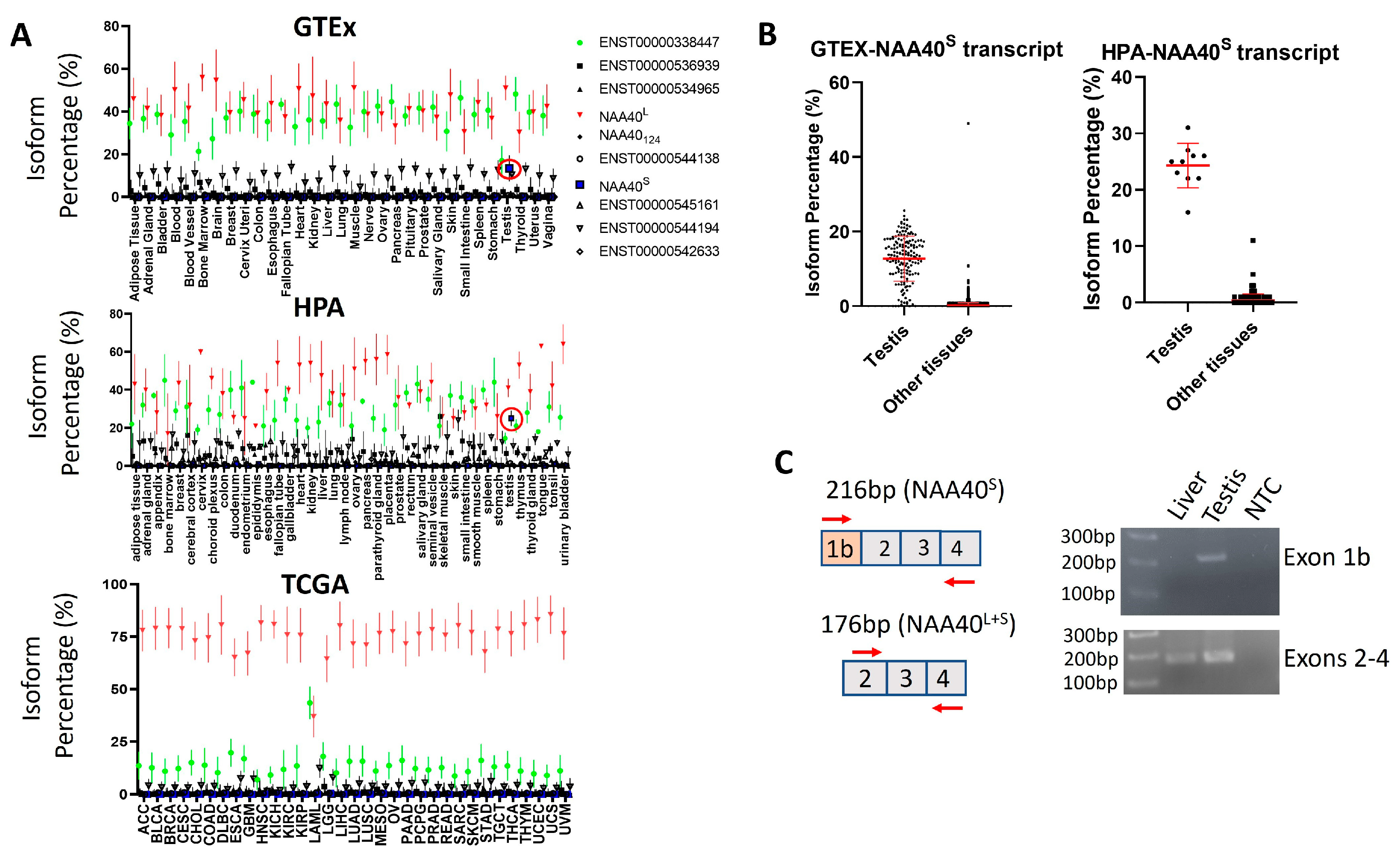 Biomolecules 14 01100 g004
