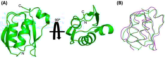 Biomolecules 14 01108 g001