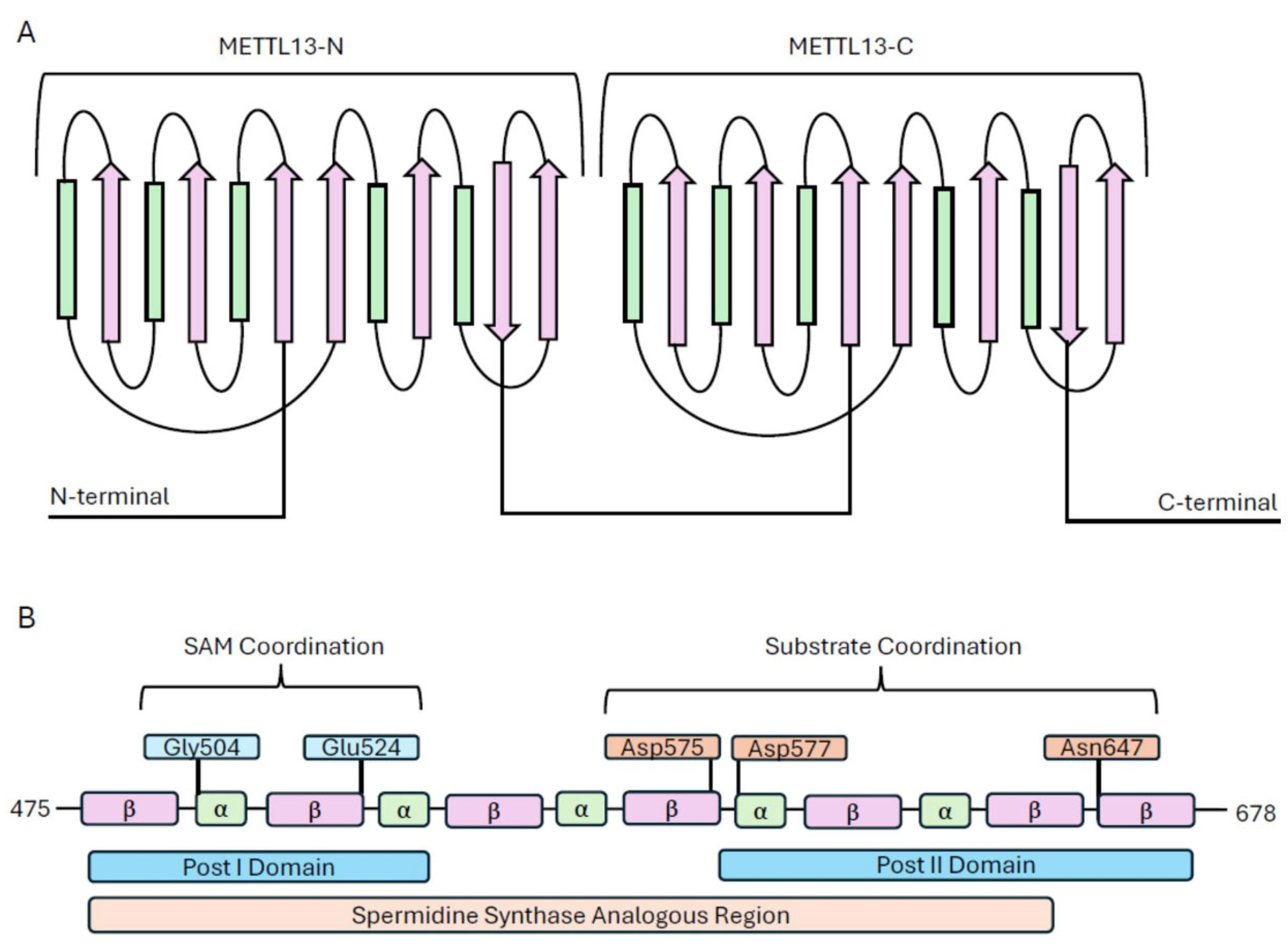 Biomolecules 14 01112 g001