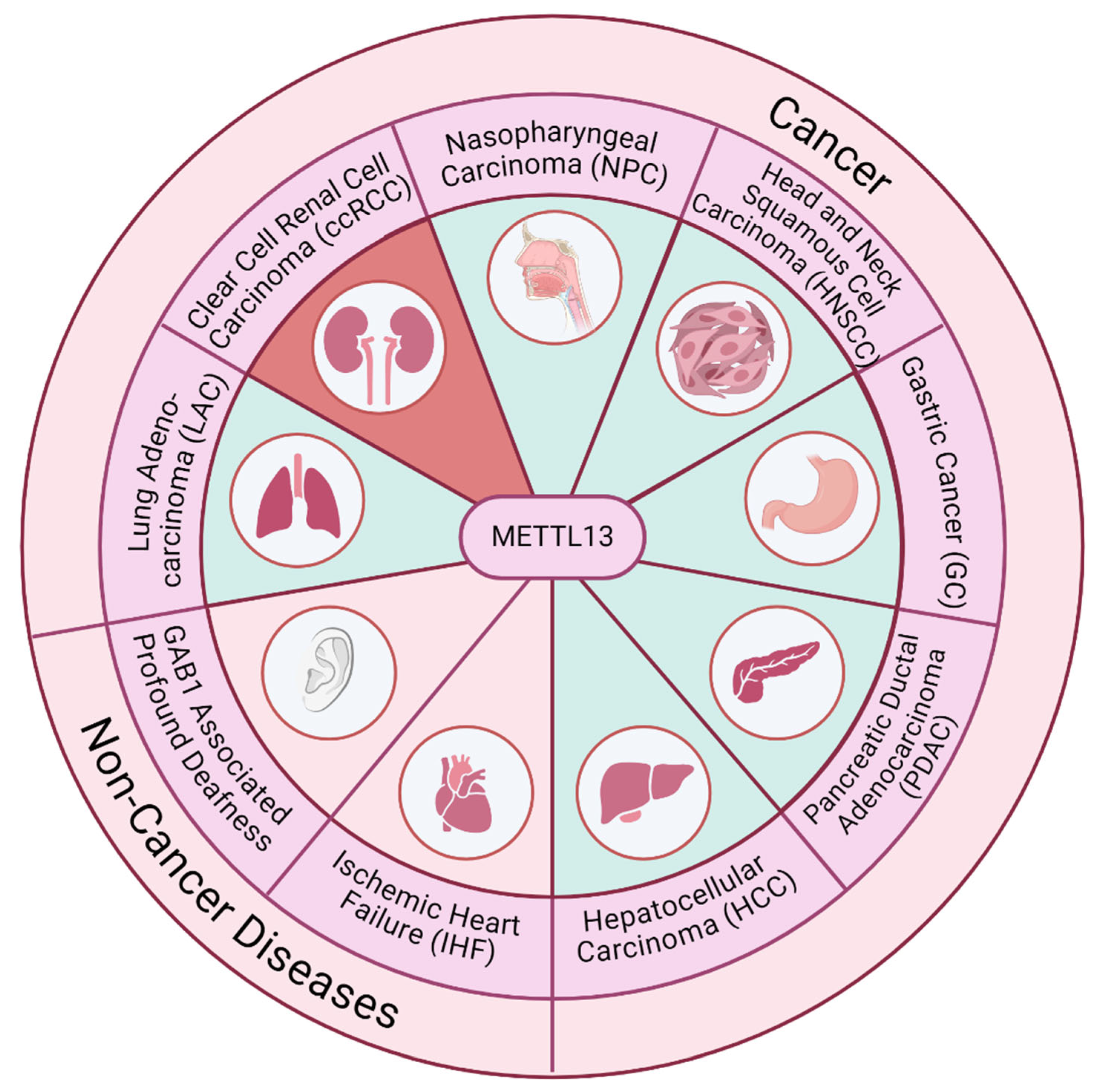 Biomolecules 14 01112 g002