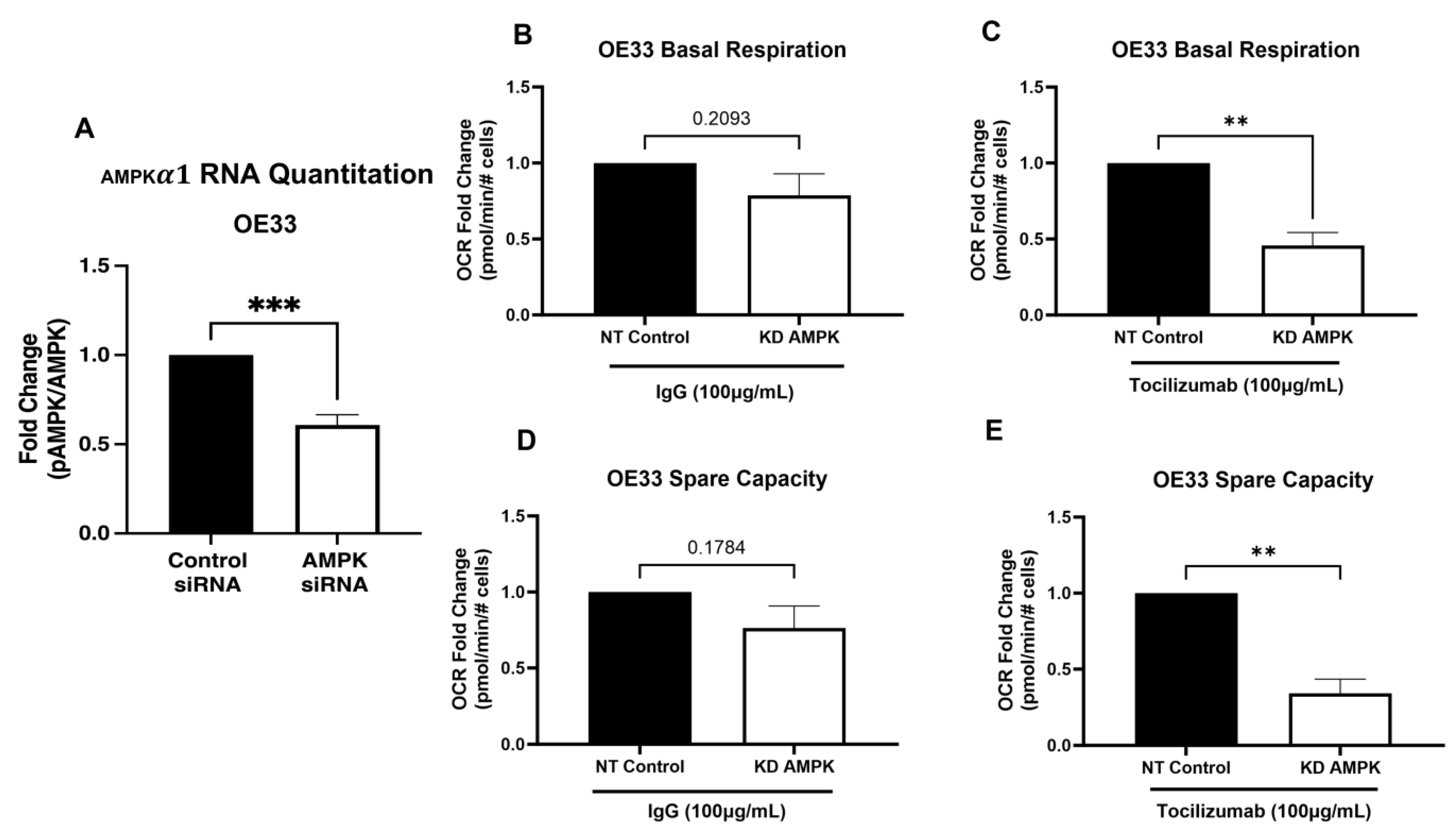 Biomolecules 14 01115 g003