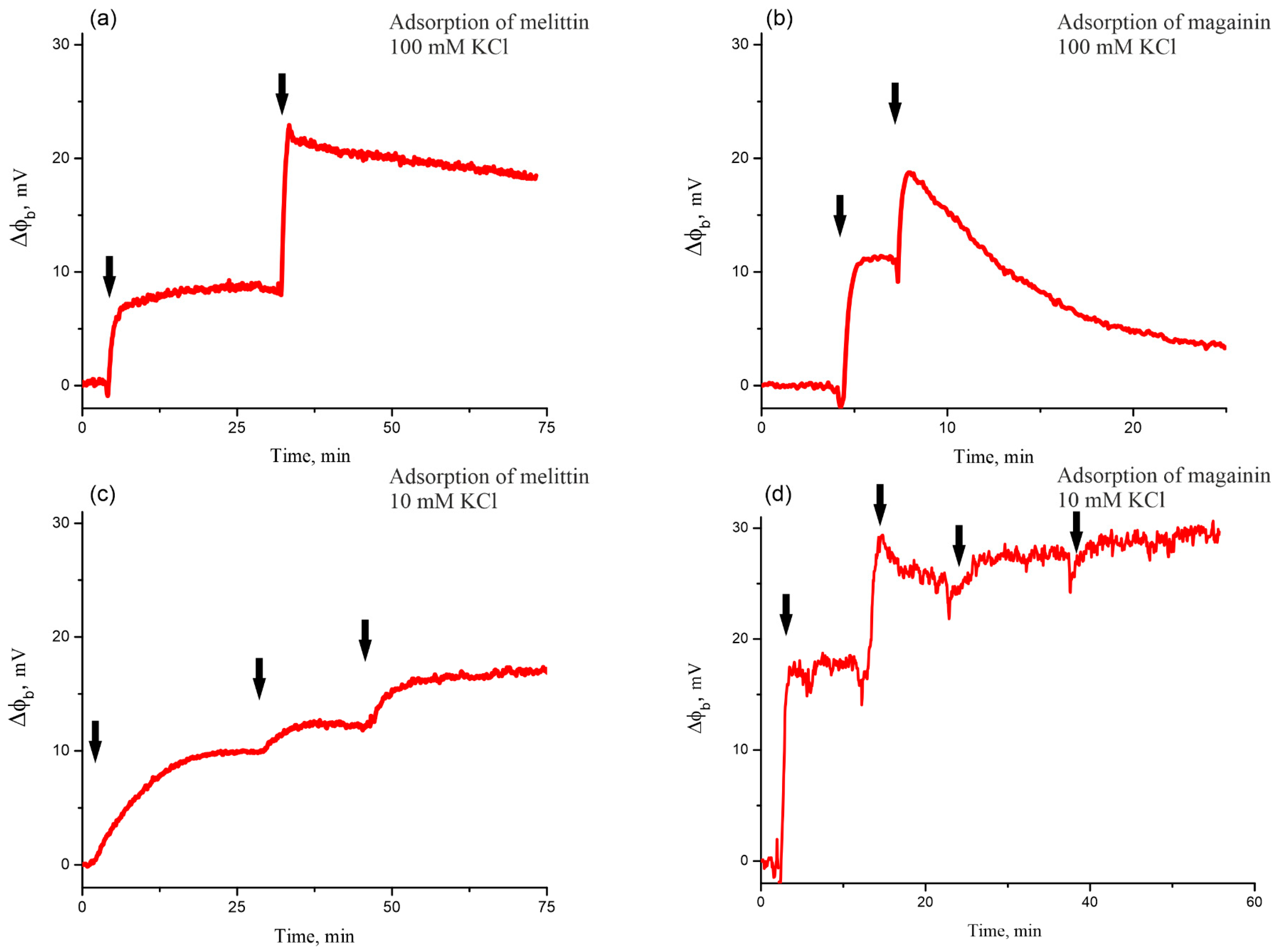Biomolecules 14 01118 g004