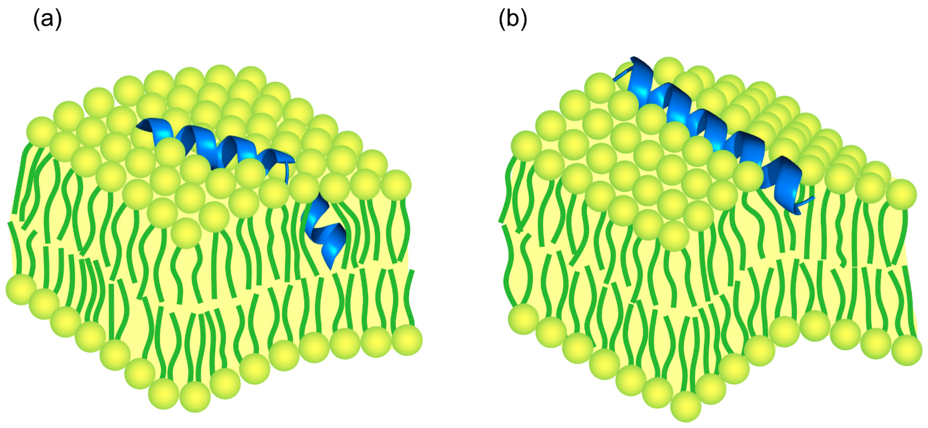 Biomolecules 14 01118 g005