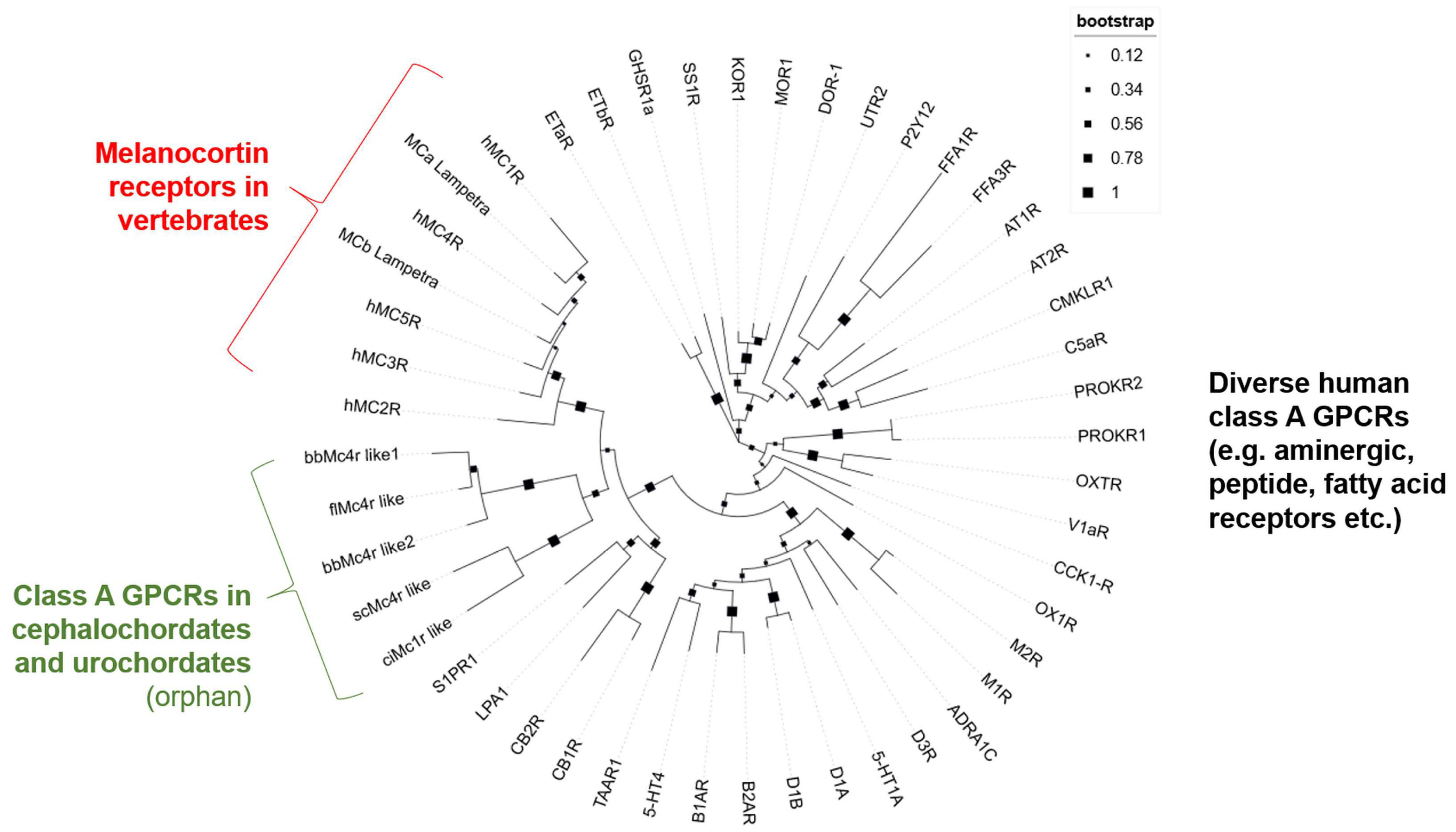 Biomolecules 14 01120 g001