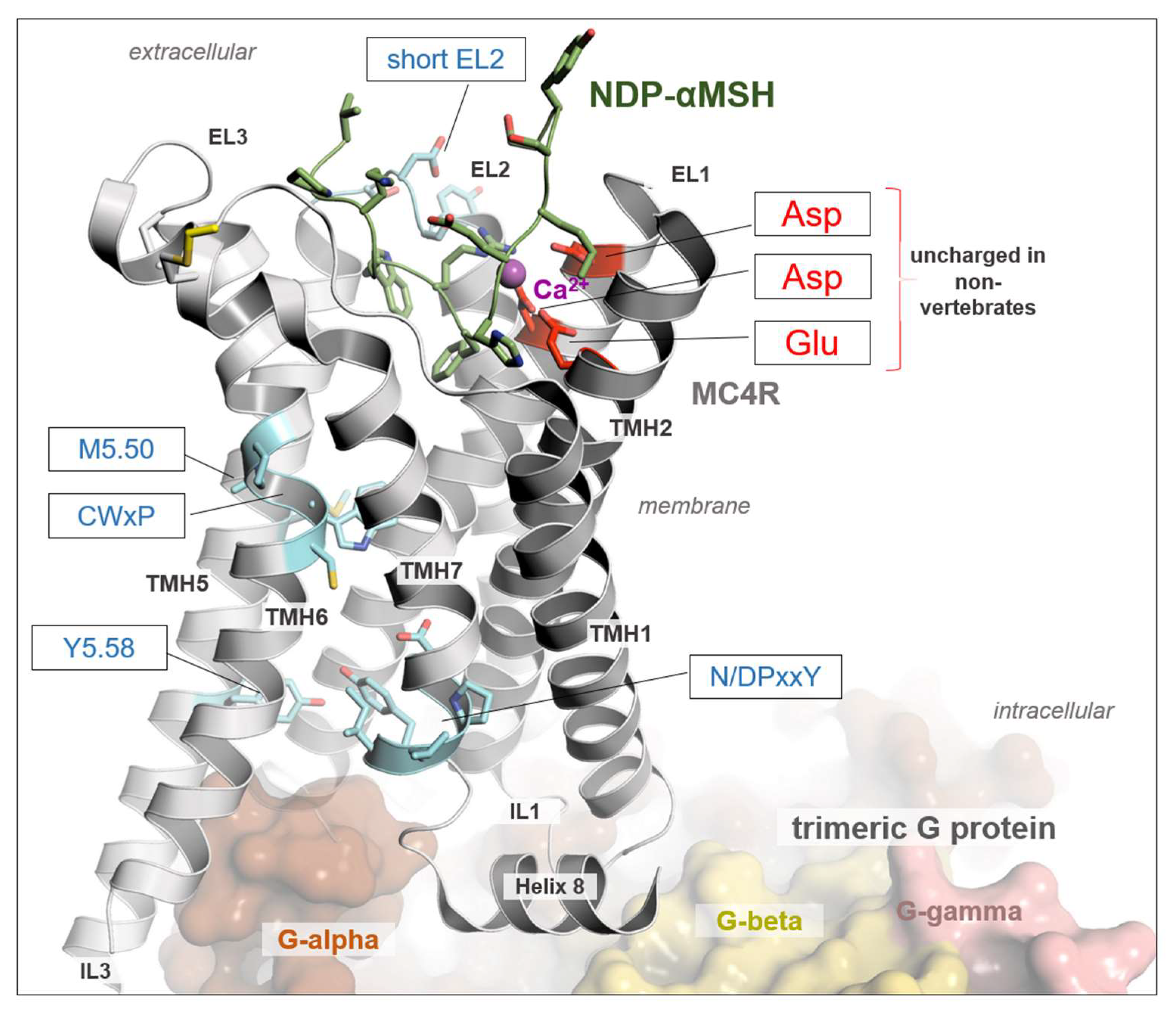 Biomolecules 14 01120 g003