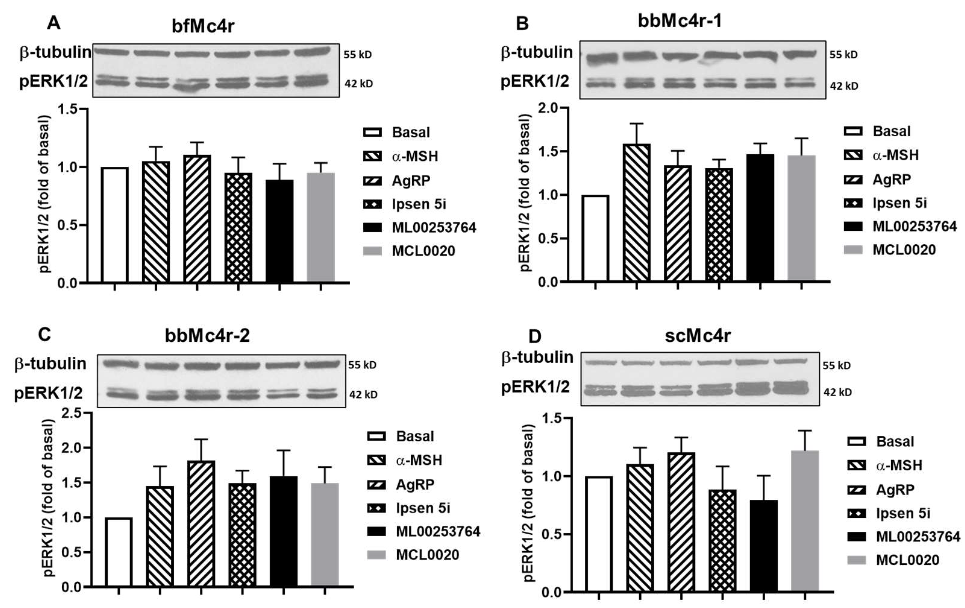 Biomolecules 14 01120 g007