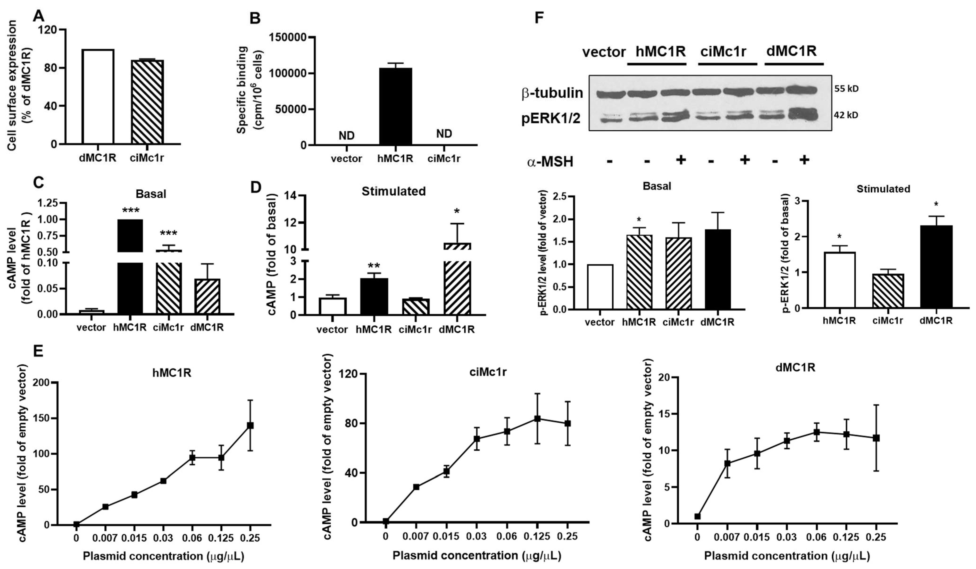 Biomolecules 14 01120 g008