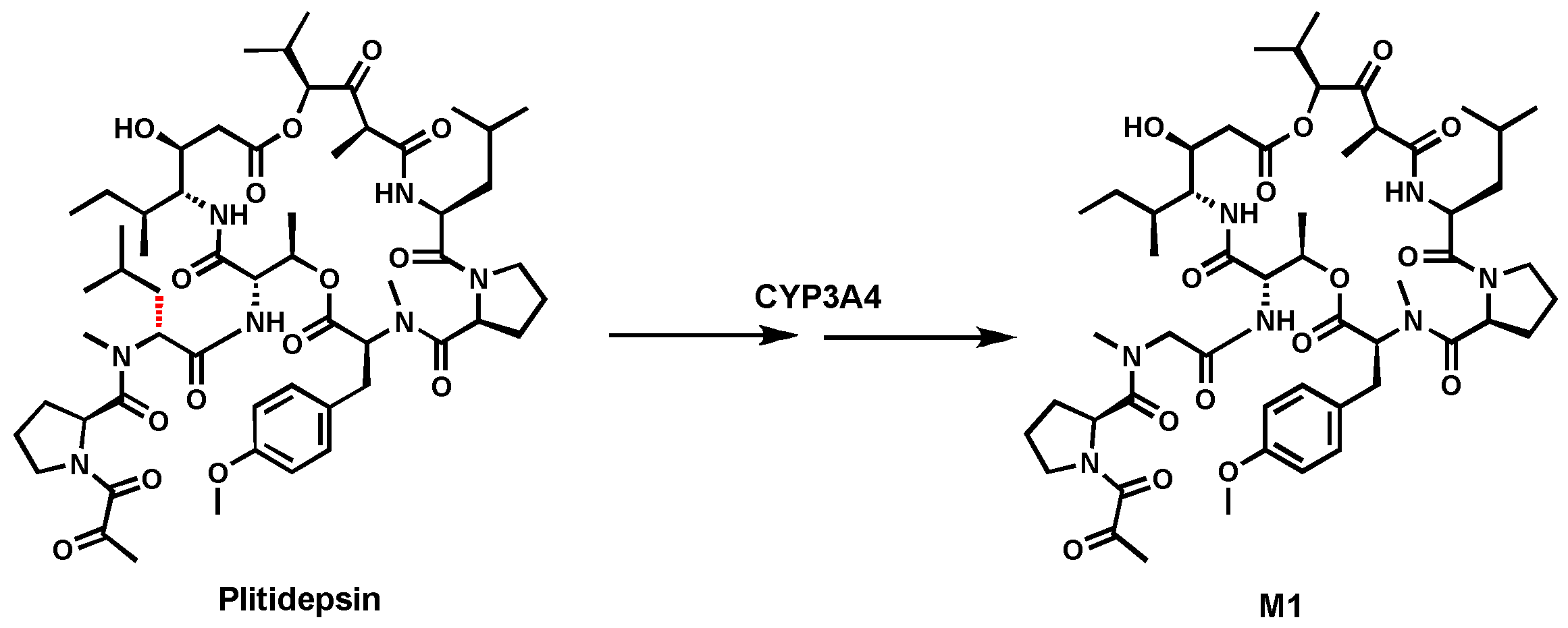 Biomolecules 14 01125 g001 Biomolecules 14 01125 g001