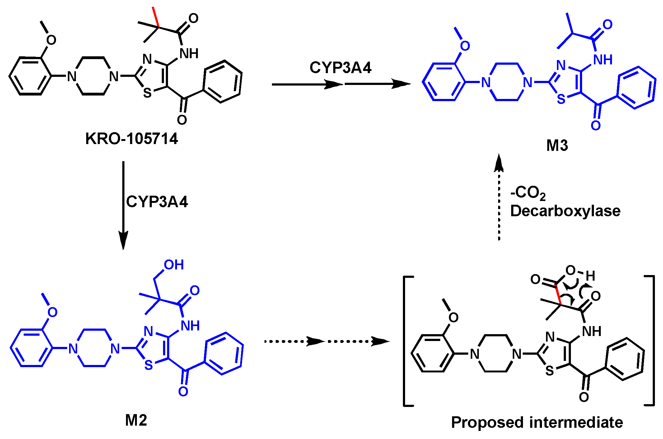 Biomolecules 14 01125 g002 Biomolecules 14 01125 g002
