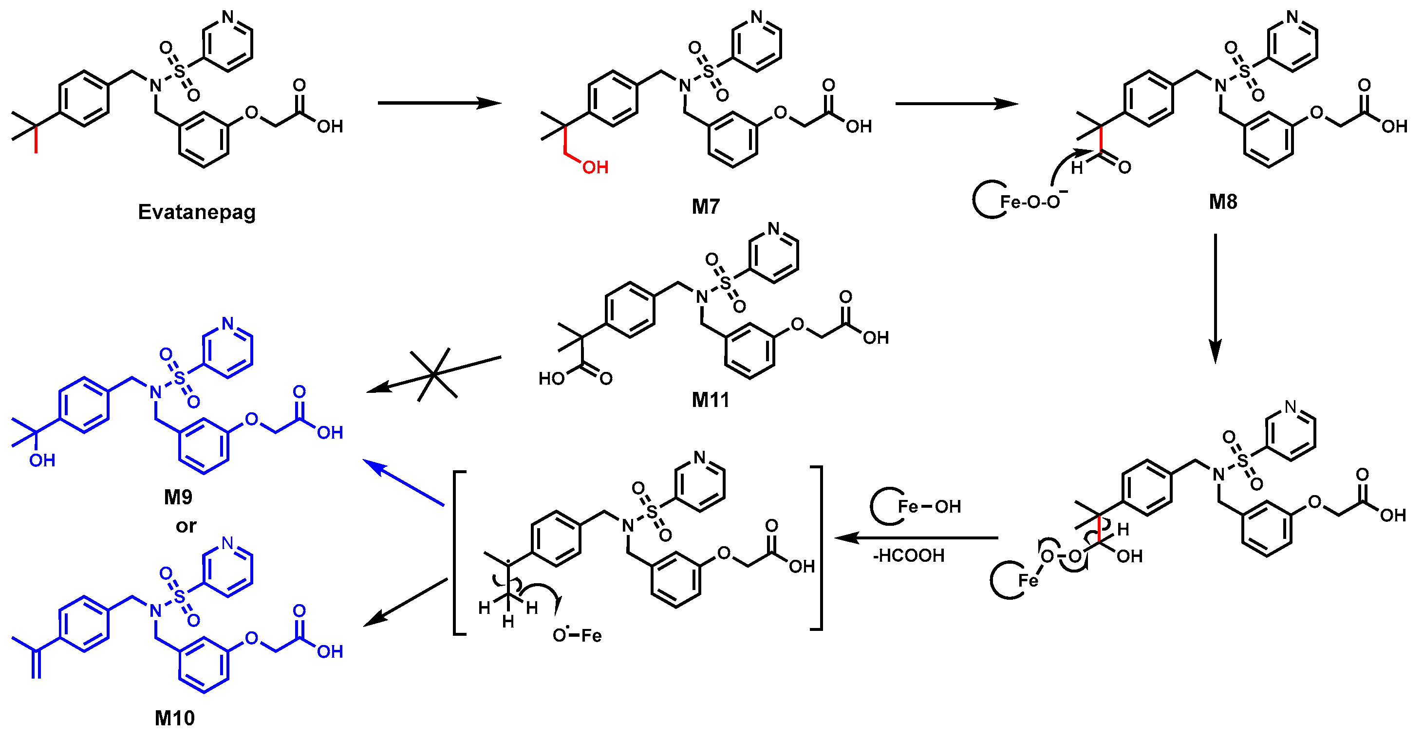Biomolecules 14 01125 g005 Biomolecules 14 01125 g005