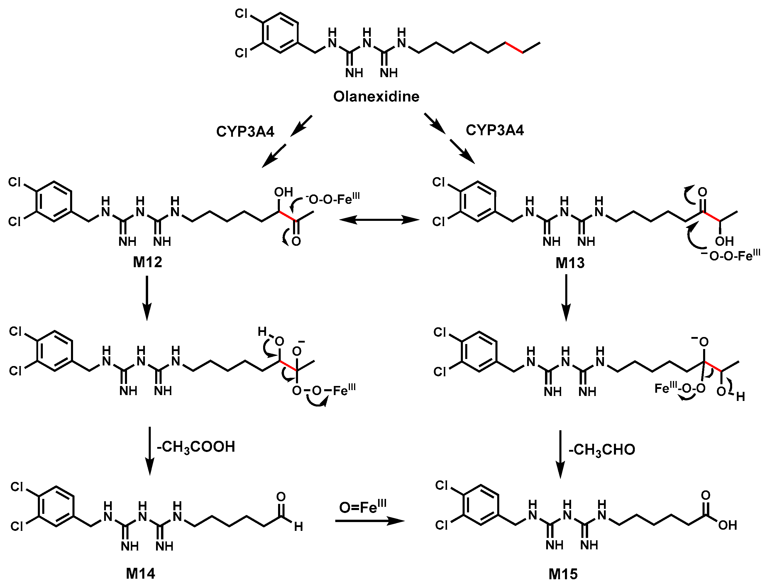 Biomolecules 14 01125 g006 Biomolecules 14 01125 g006