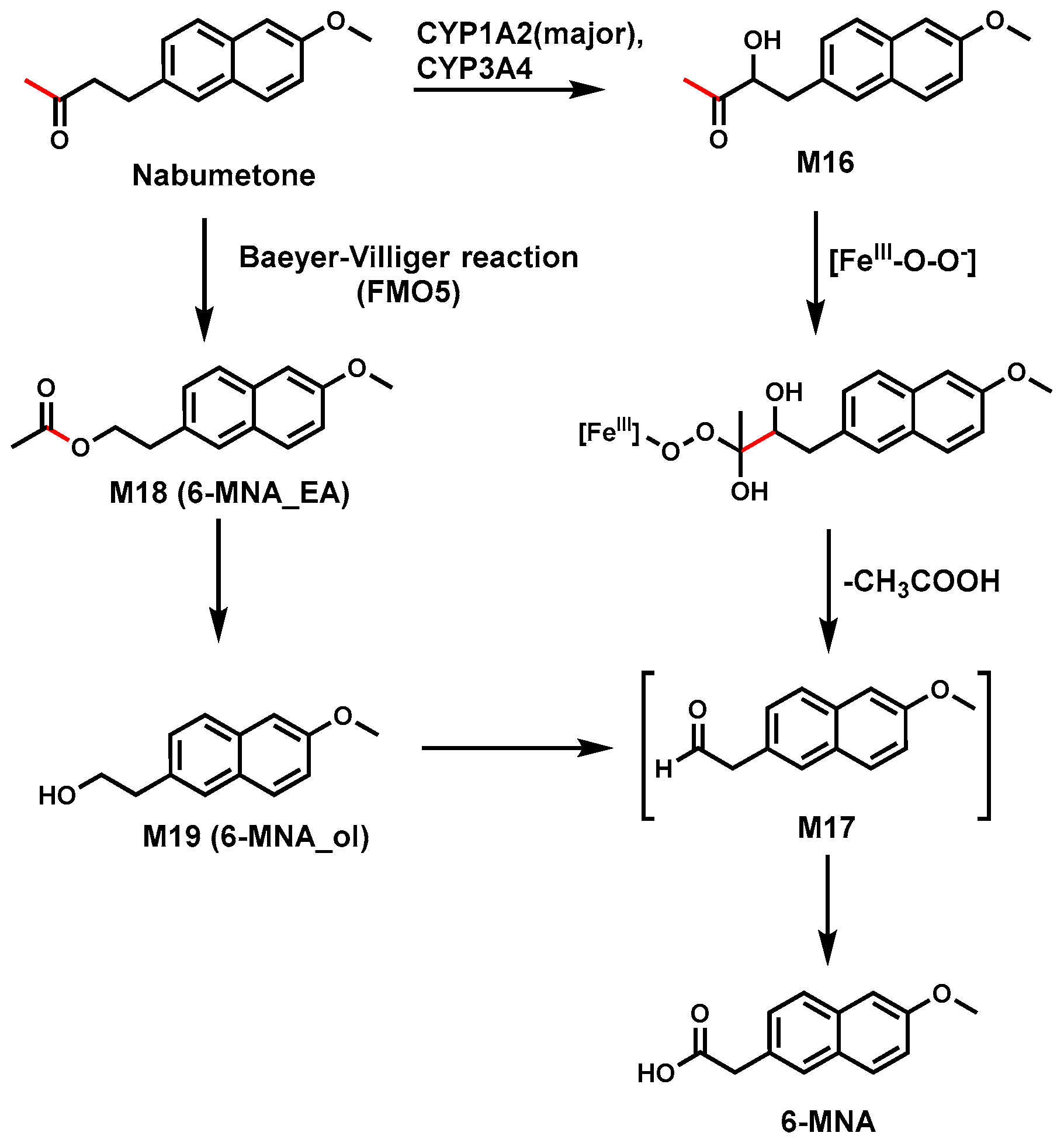 Biomolecules 14 01125 g007 Biomolecules 14 01125 g007