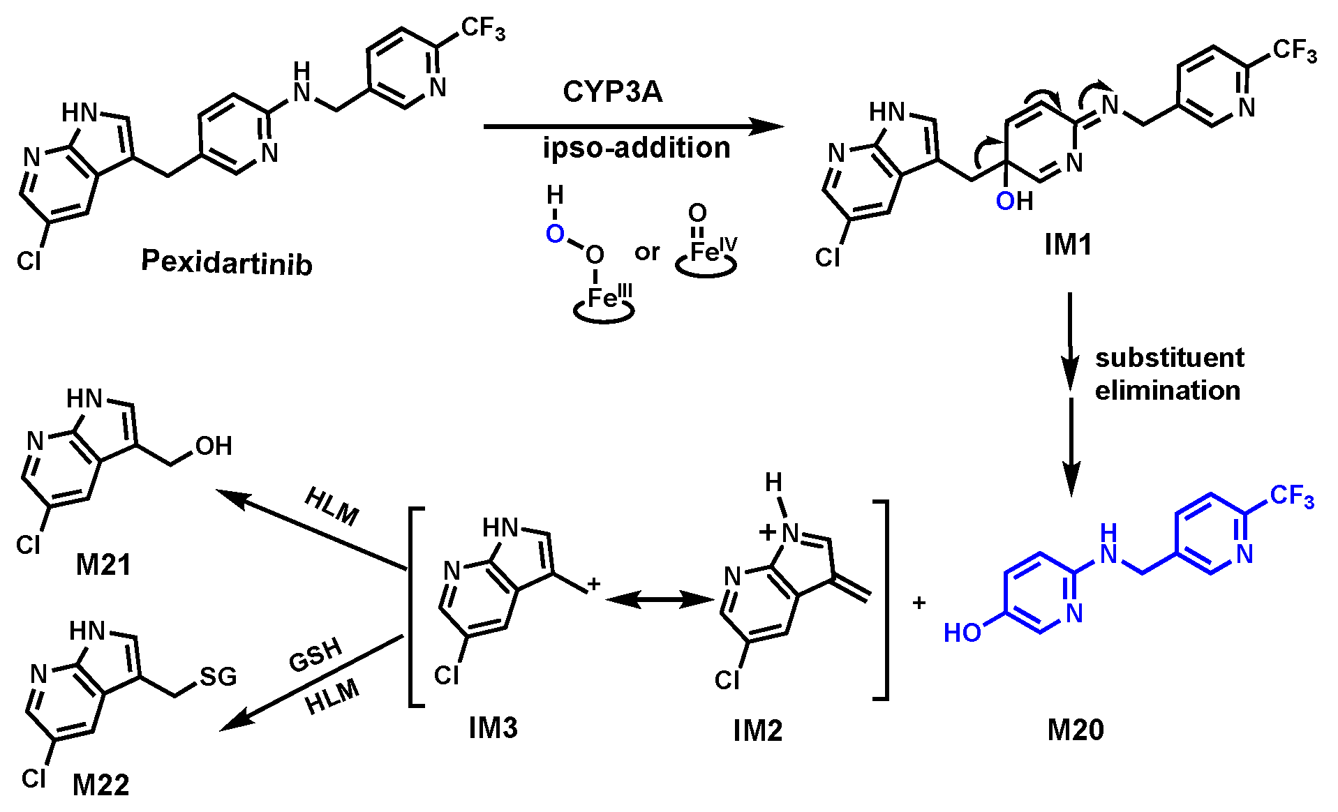 Biomolecules 14 01125 g008 Biomolecules 14 01125 g008
