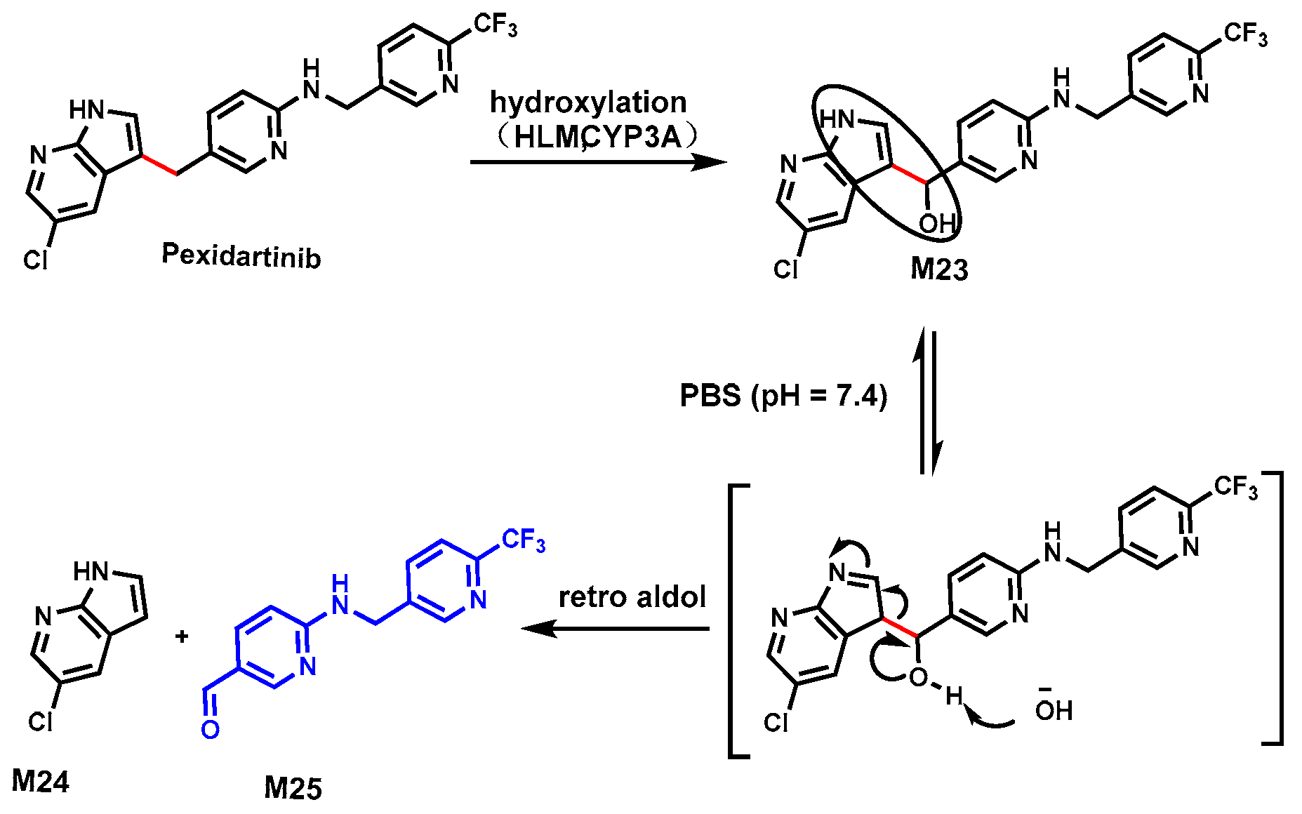 Biomolecules 14 01125 g009 Biomolecules 14 01125 g009