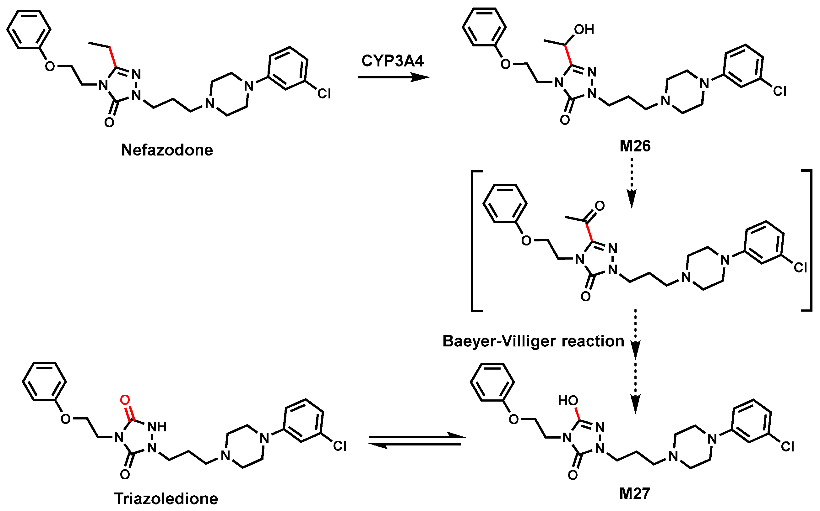 Biomolecules 14 01125 g010 Biomolecules 14 01125 g010