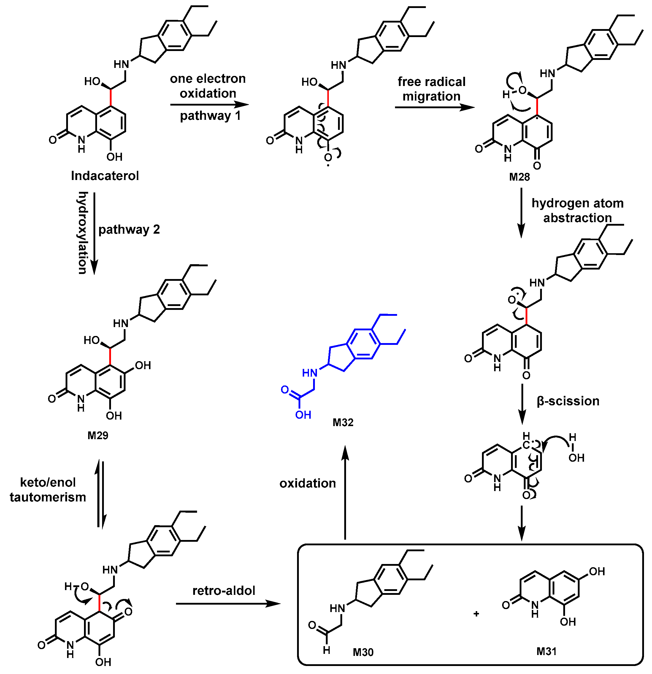 Biomolecules 14 01125 g011 Biomolecules 14 01125 g011