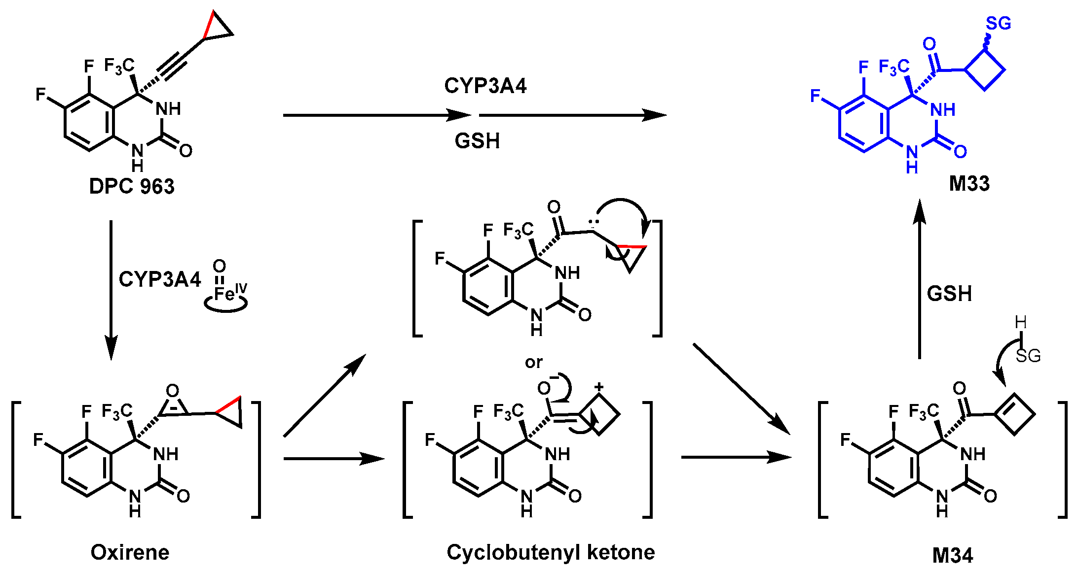 Biomolecules 14 01125 g012 Biomolecules 14 01125 g012