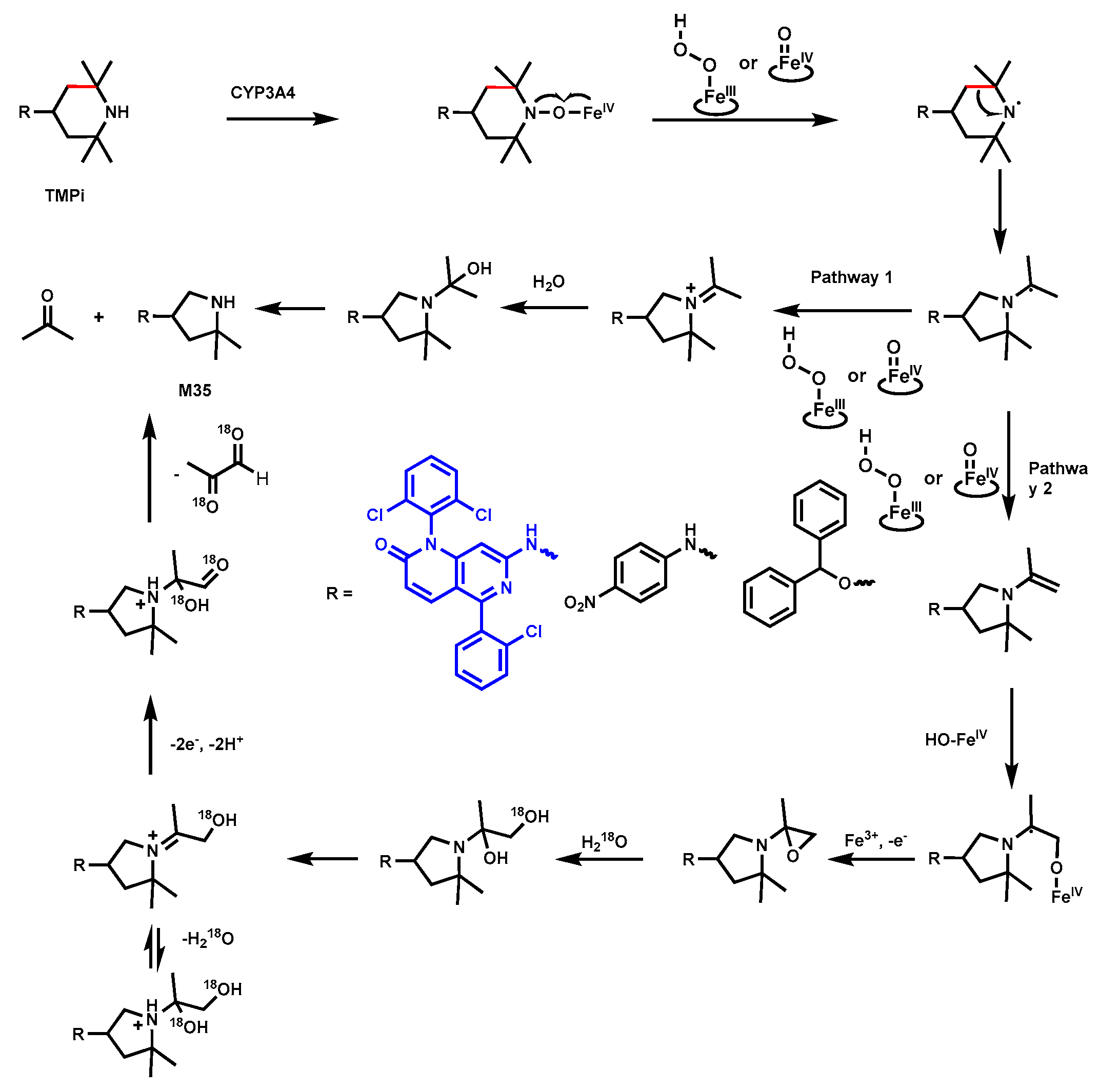 Biomolecules 14 01125 g013 Biomolecules 14 01125 g013