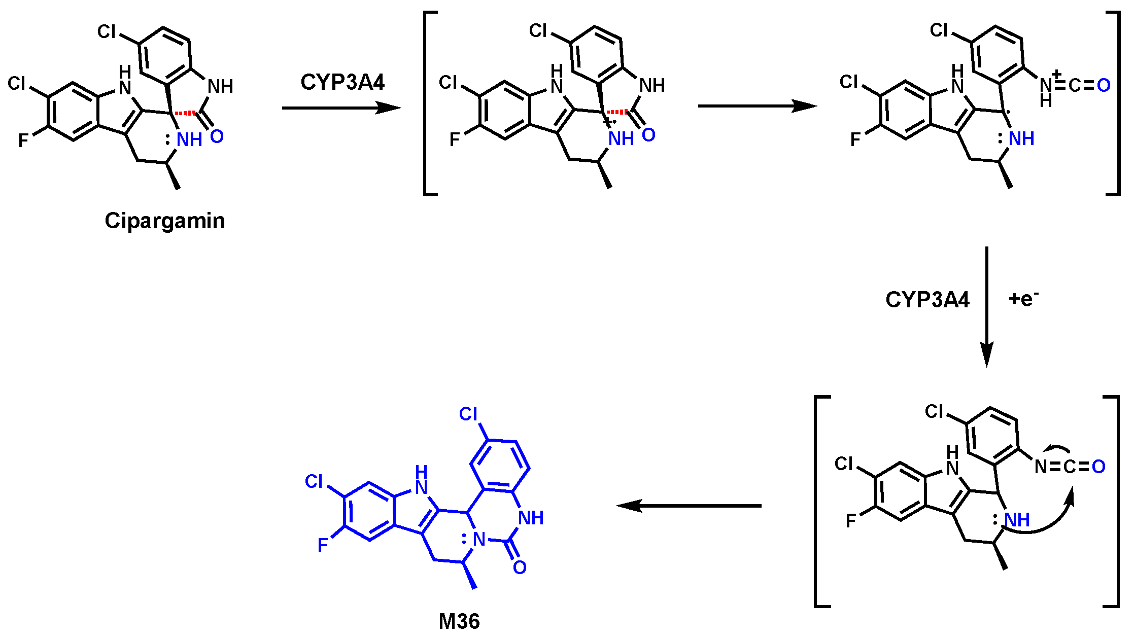 Biomolecules 14 01125 g014 Biomolecules 14 01125 g014