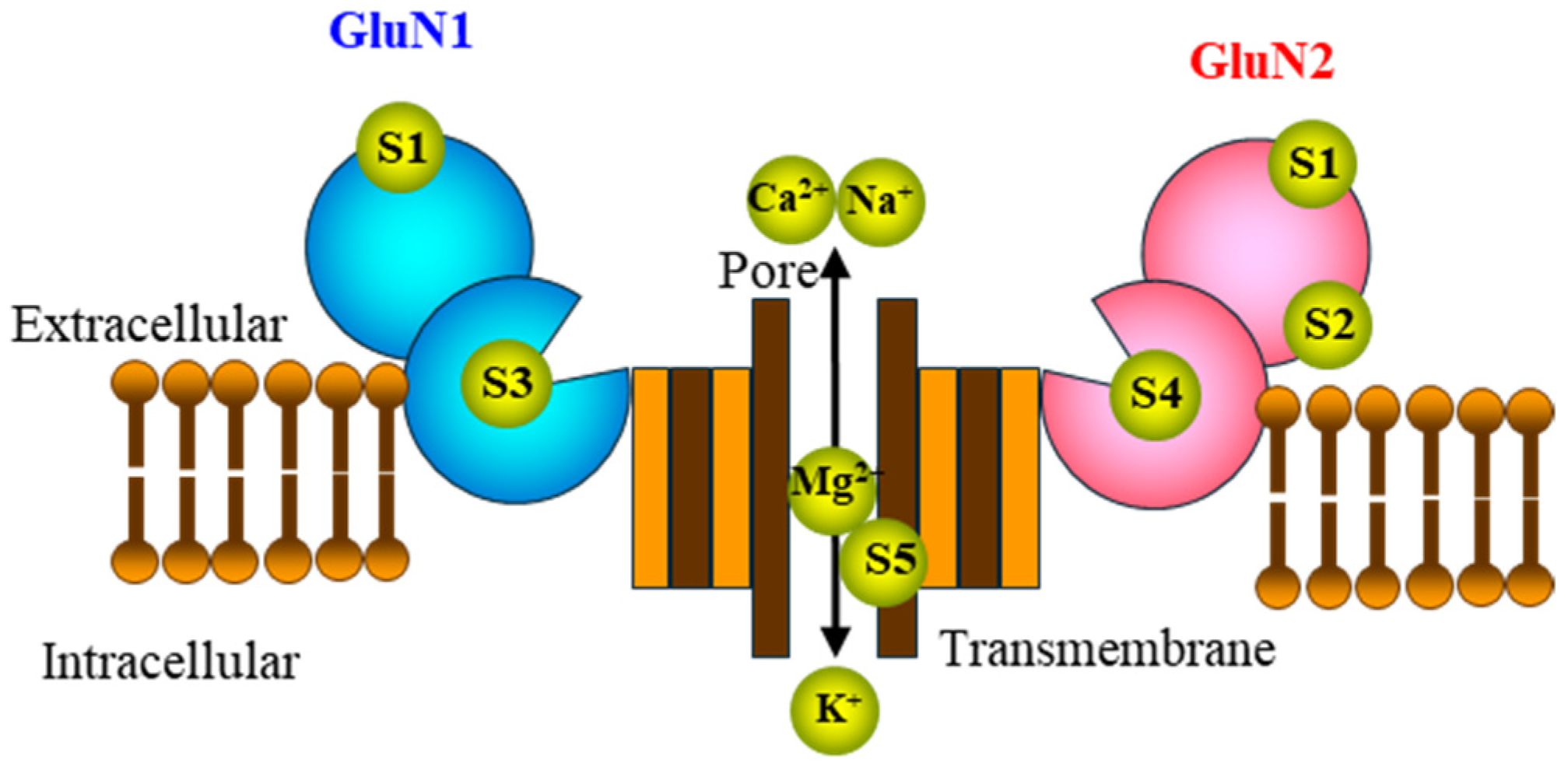 Biomolecules 14 01128 g001