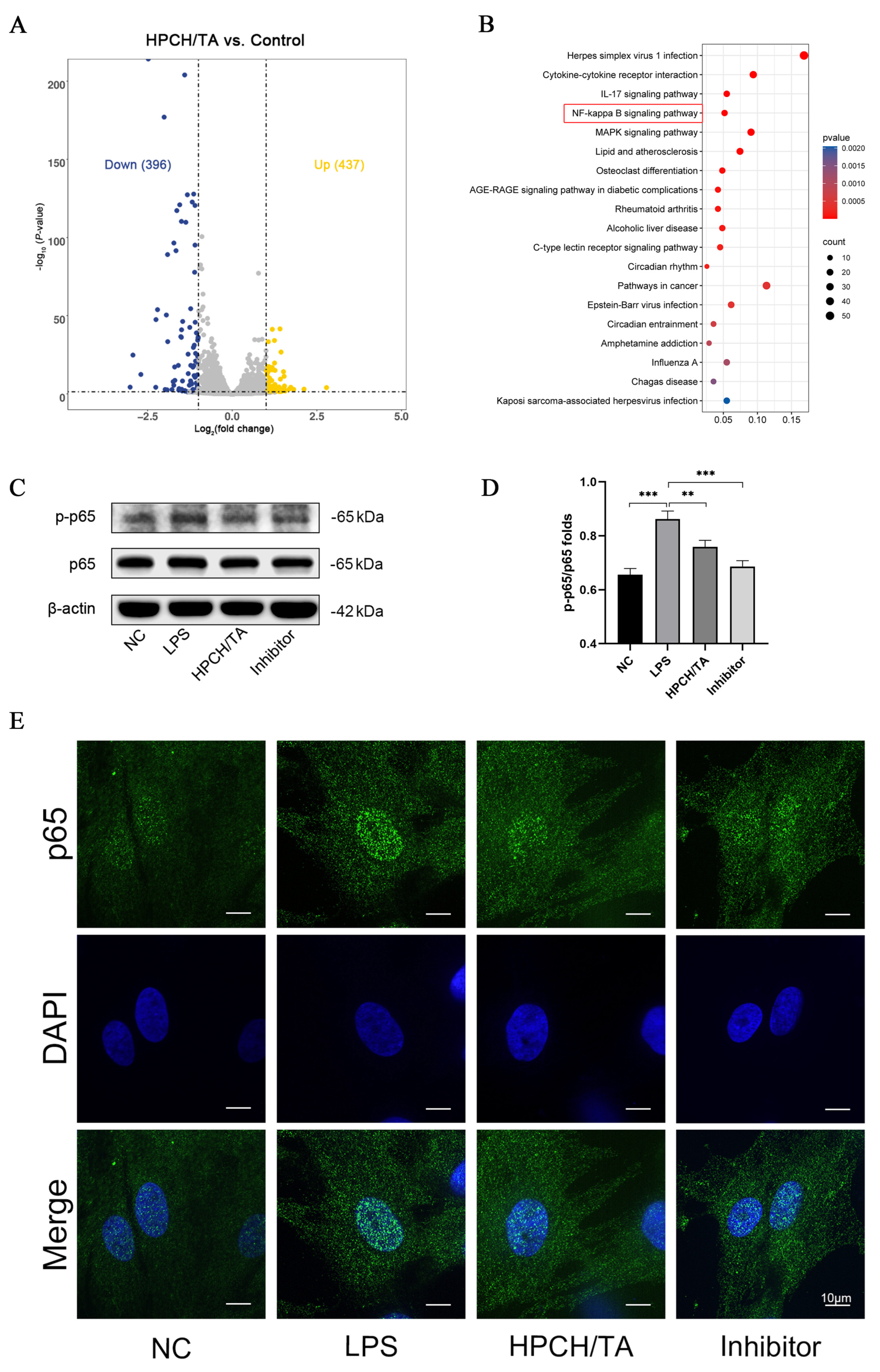 Biomolecules 14 01129 g004
