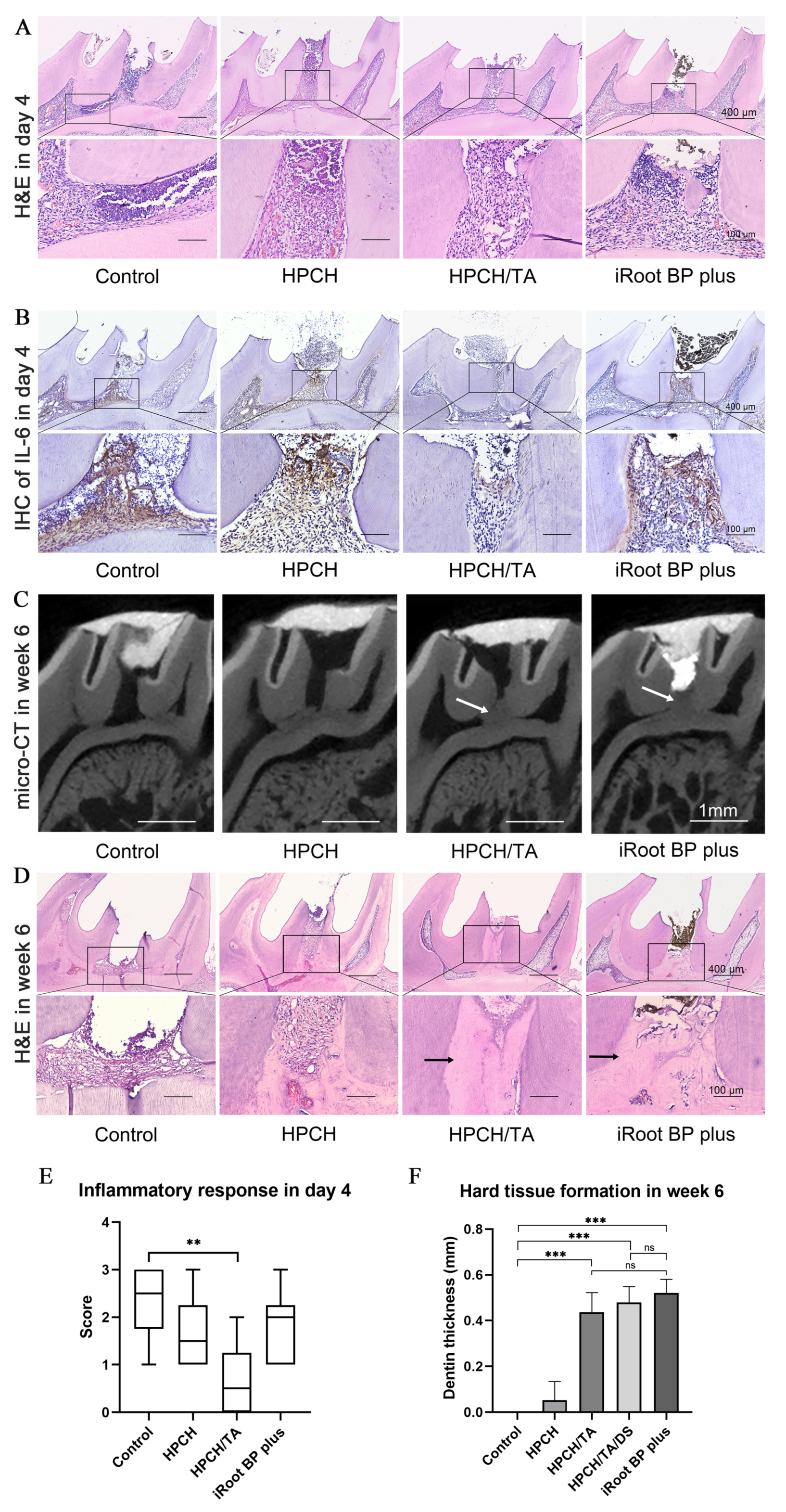 Biomolecules 14 01129 g005
