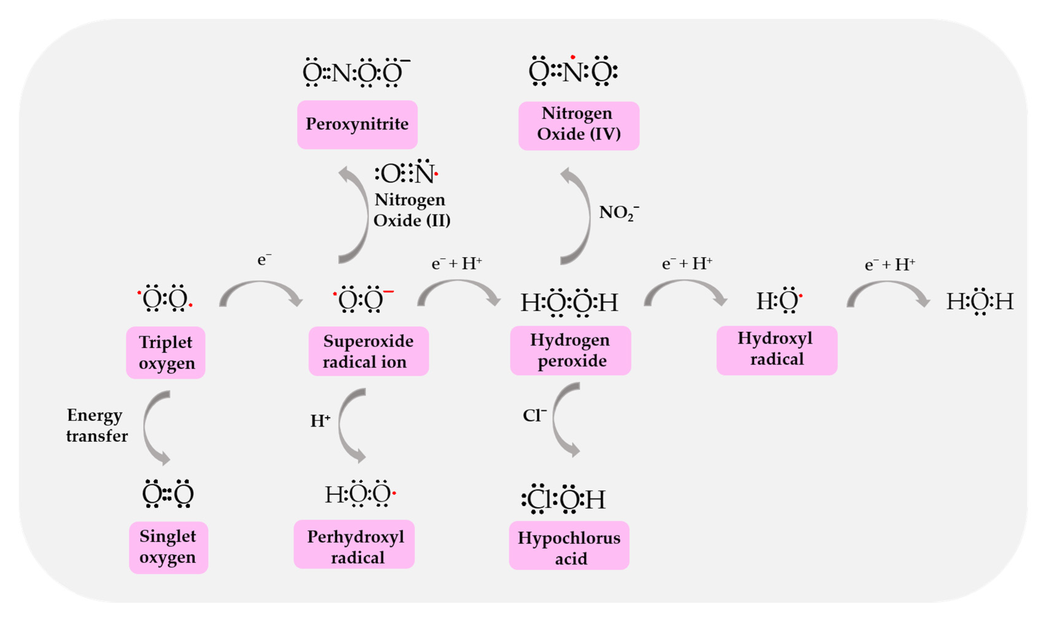 Biomolecules 14 01130 g002 Biomolecules 14 01130 g002