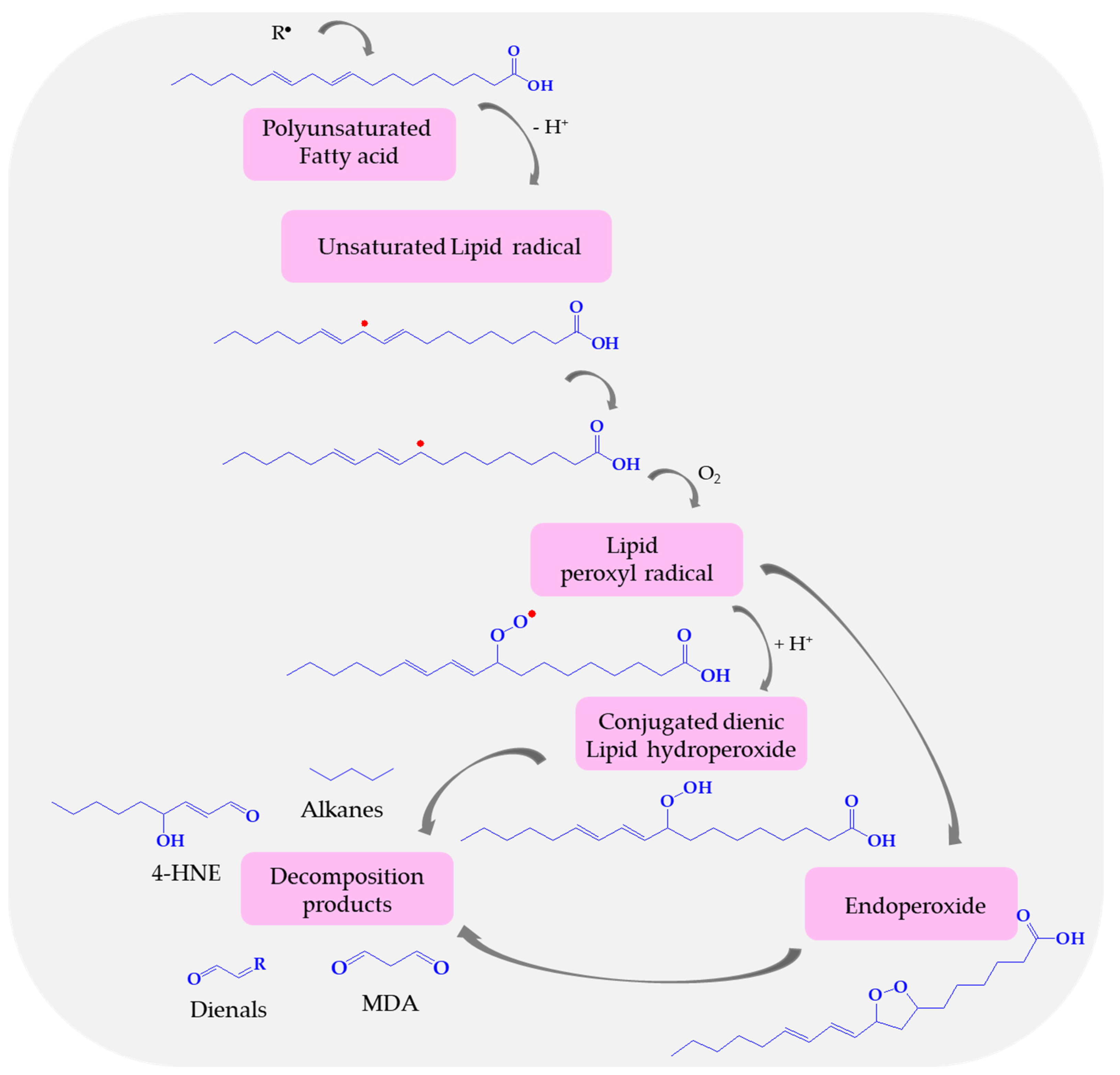 Biomolecules 14 01130 g005 Biomolecules 14 01130 g005