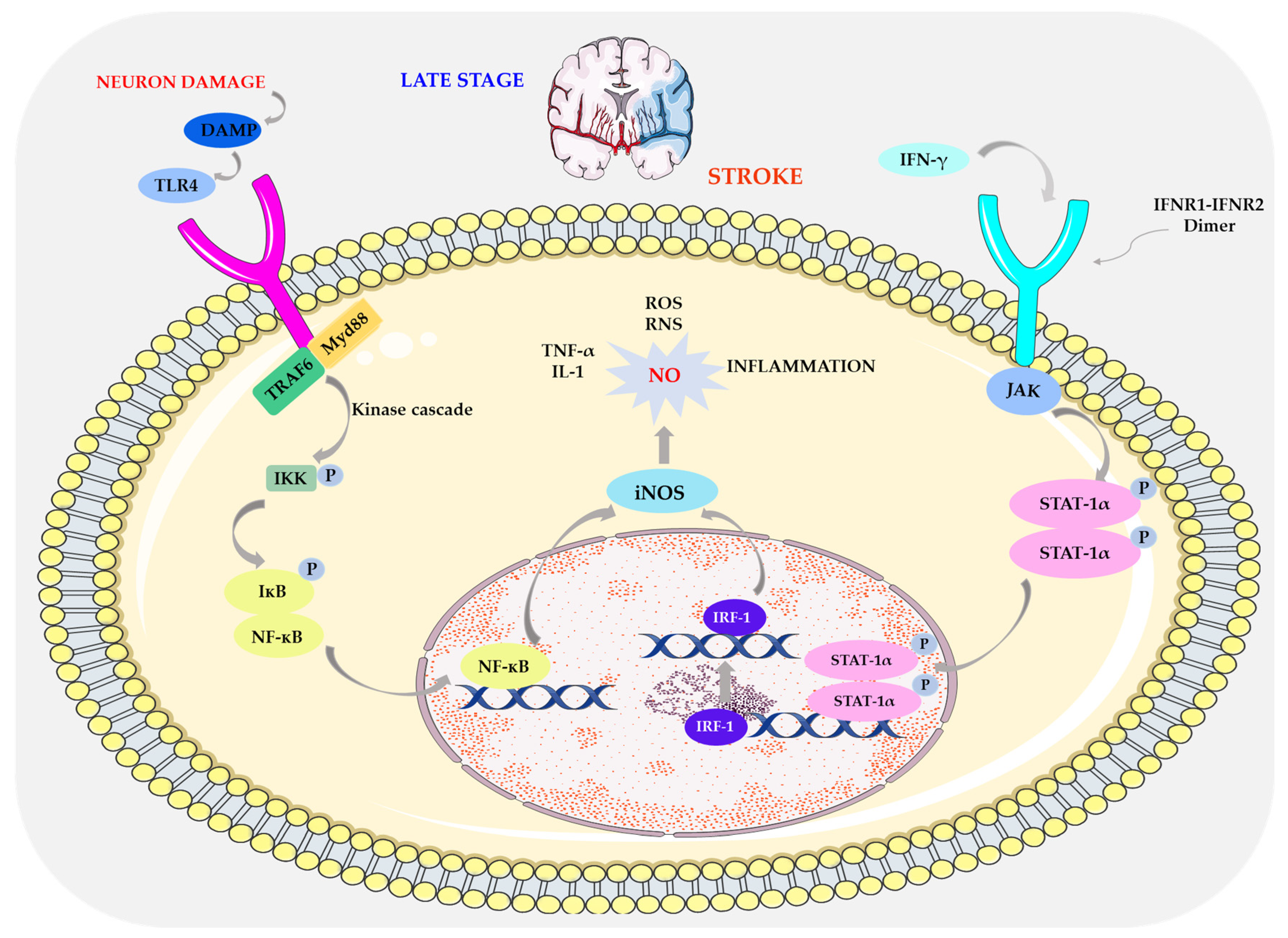 Biomolecules 14 01130 g008 Biomolecules 14 01130 g008
