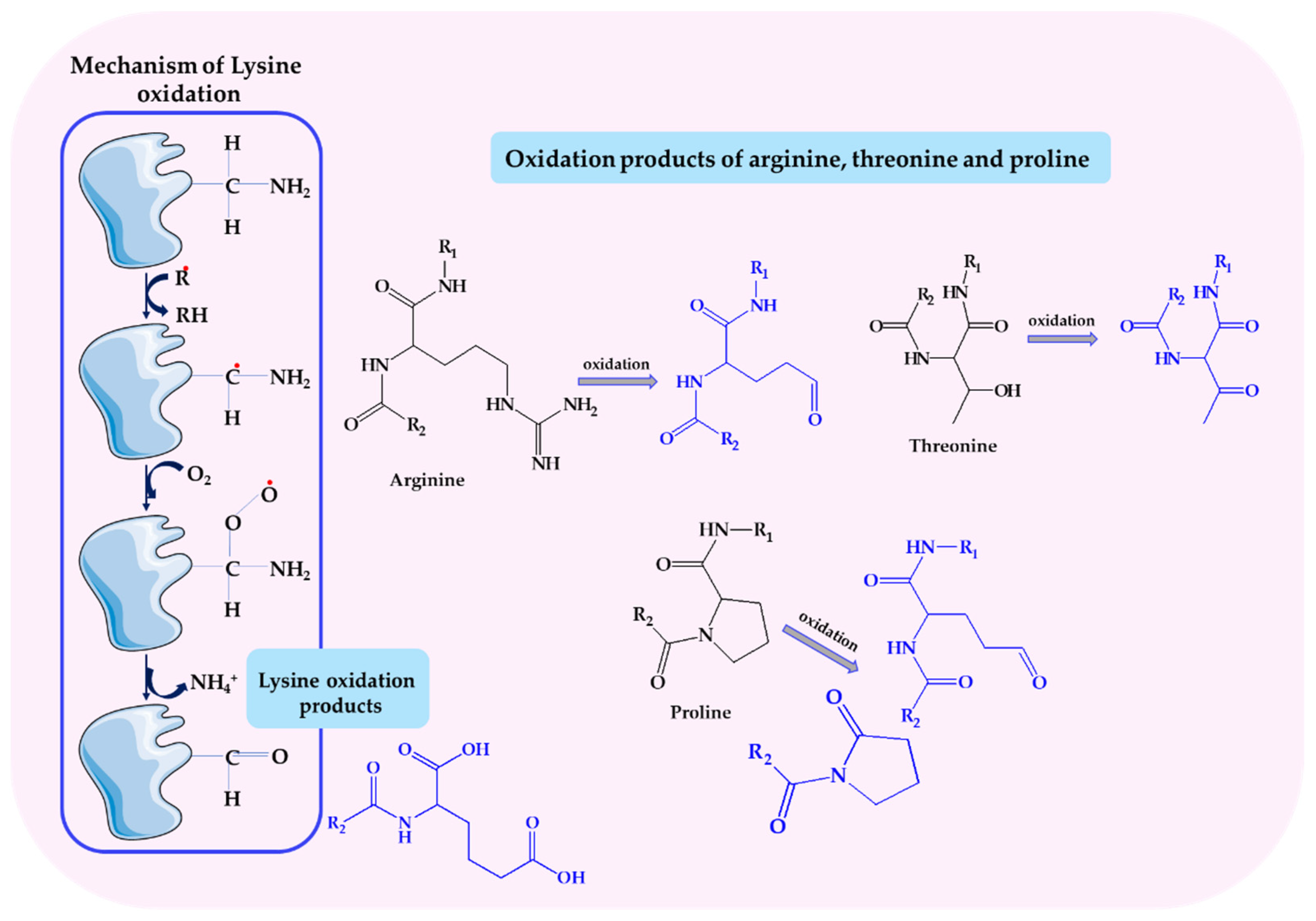 Biomolecules 14 01130 g009 Biomolecules 14 01130 g009