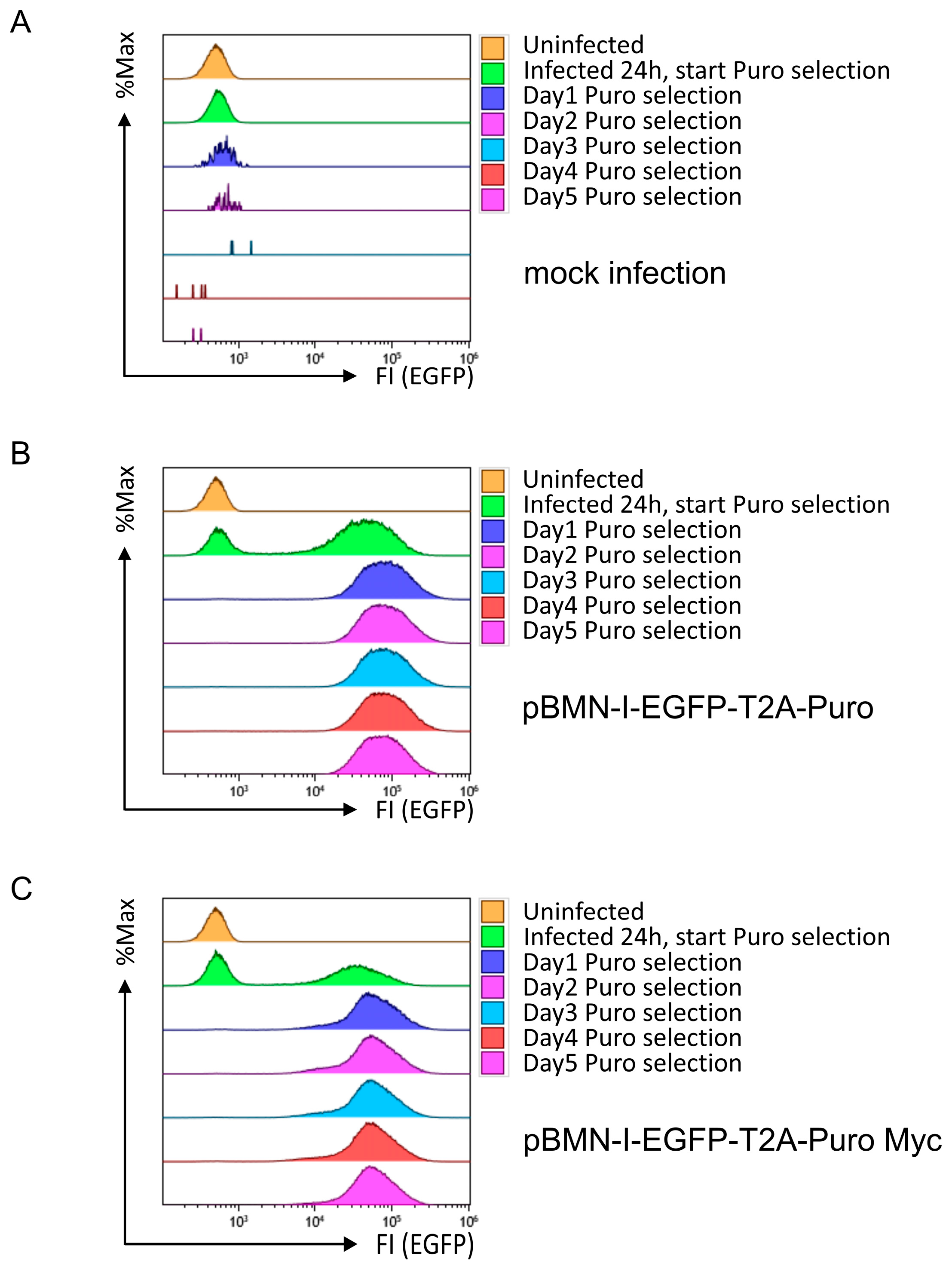 Biomolecules 14 01131 g004