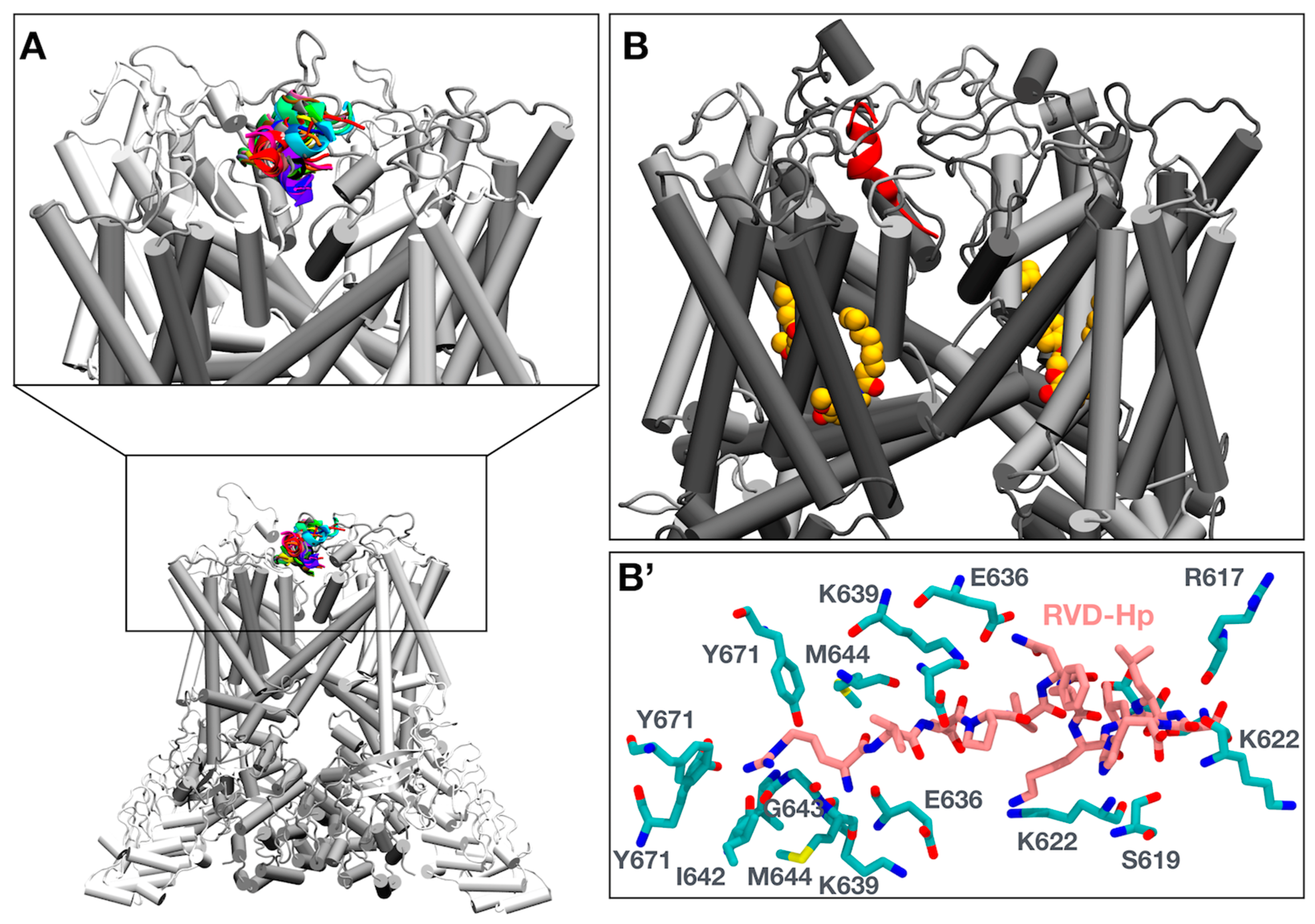 Biomolecules 14 01134 g003