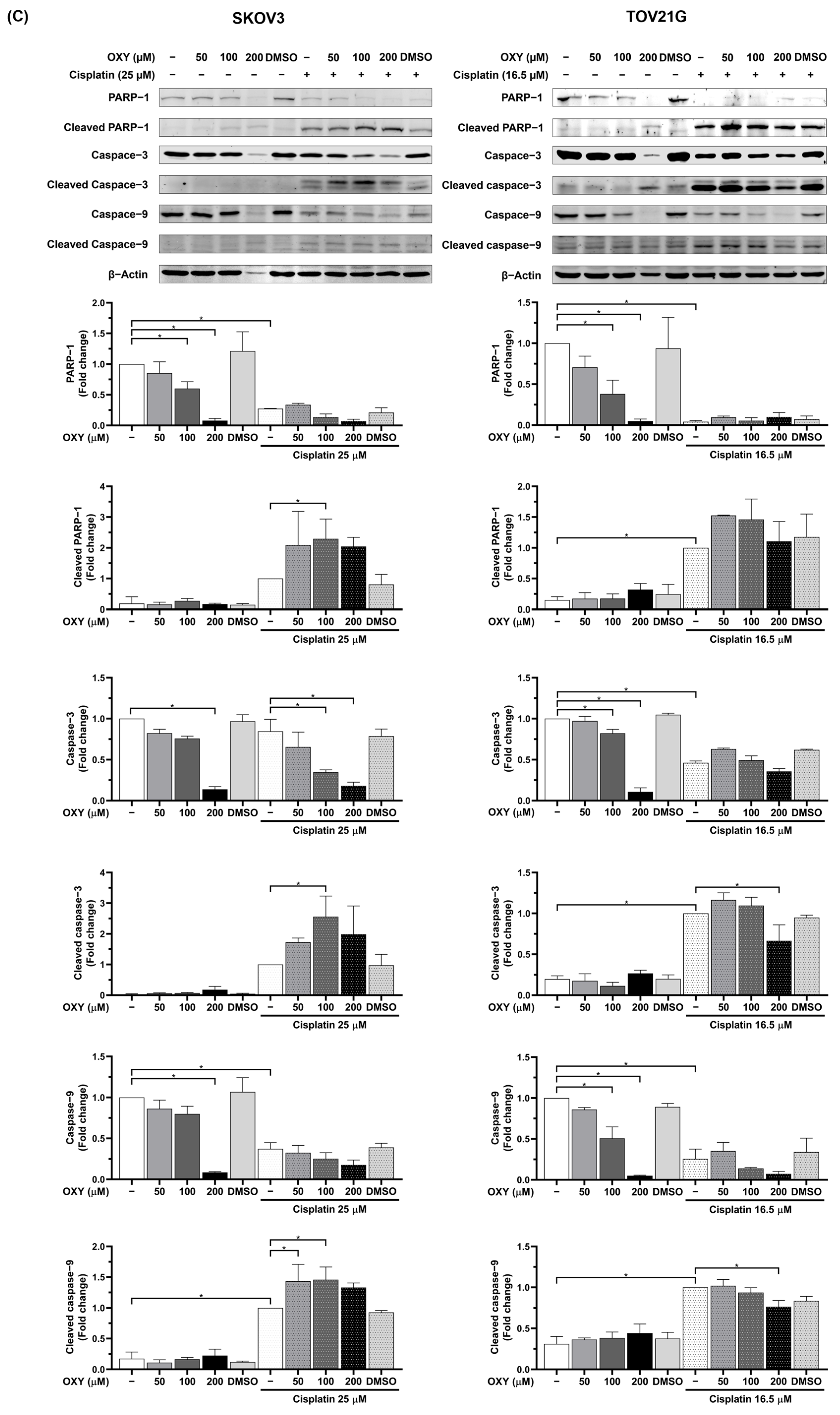 Biomolecules 14 01140 g002c