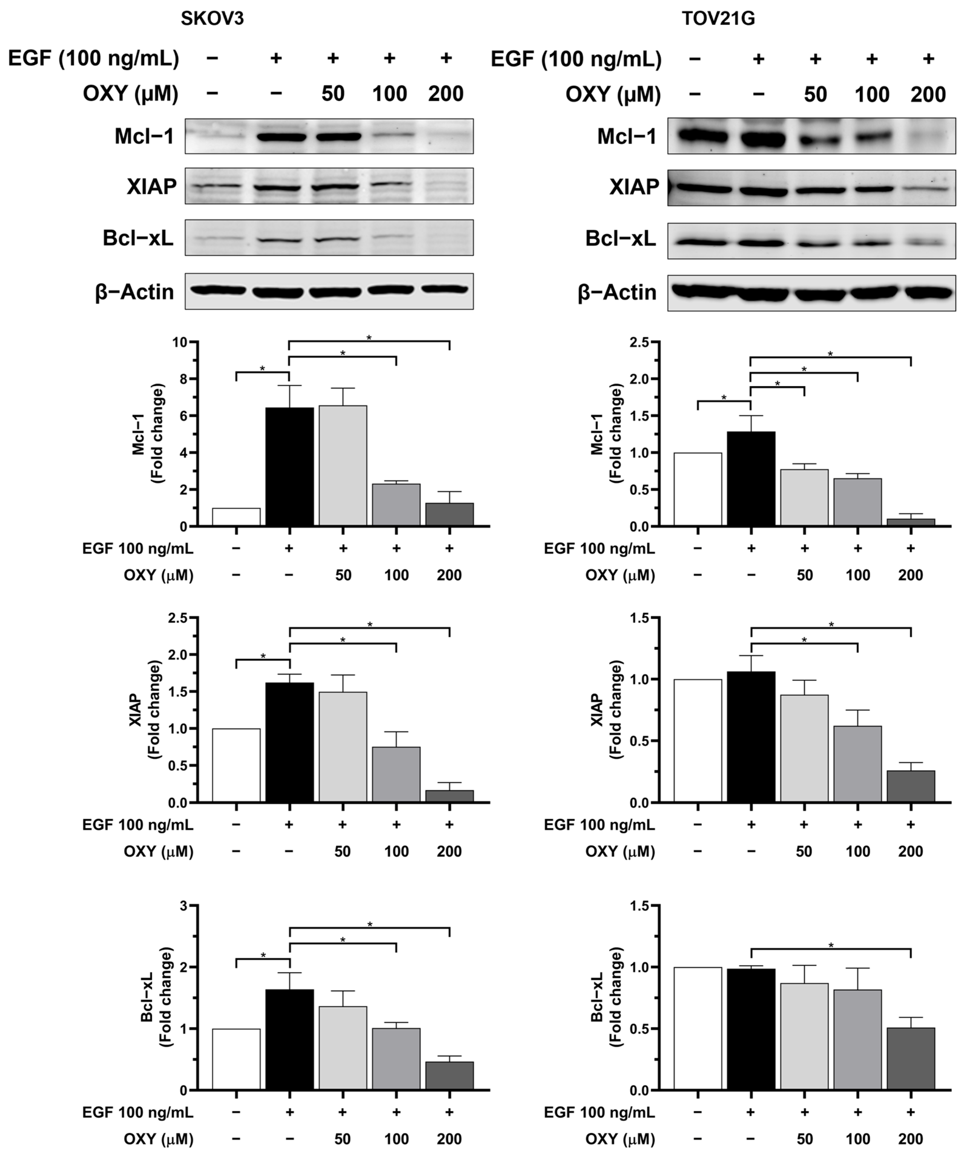 Biomolecules 14 01140 g004